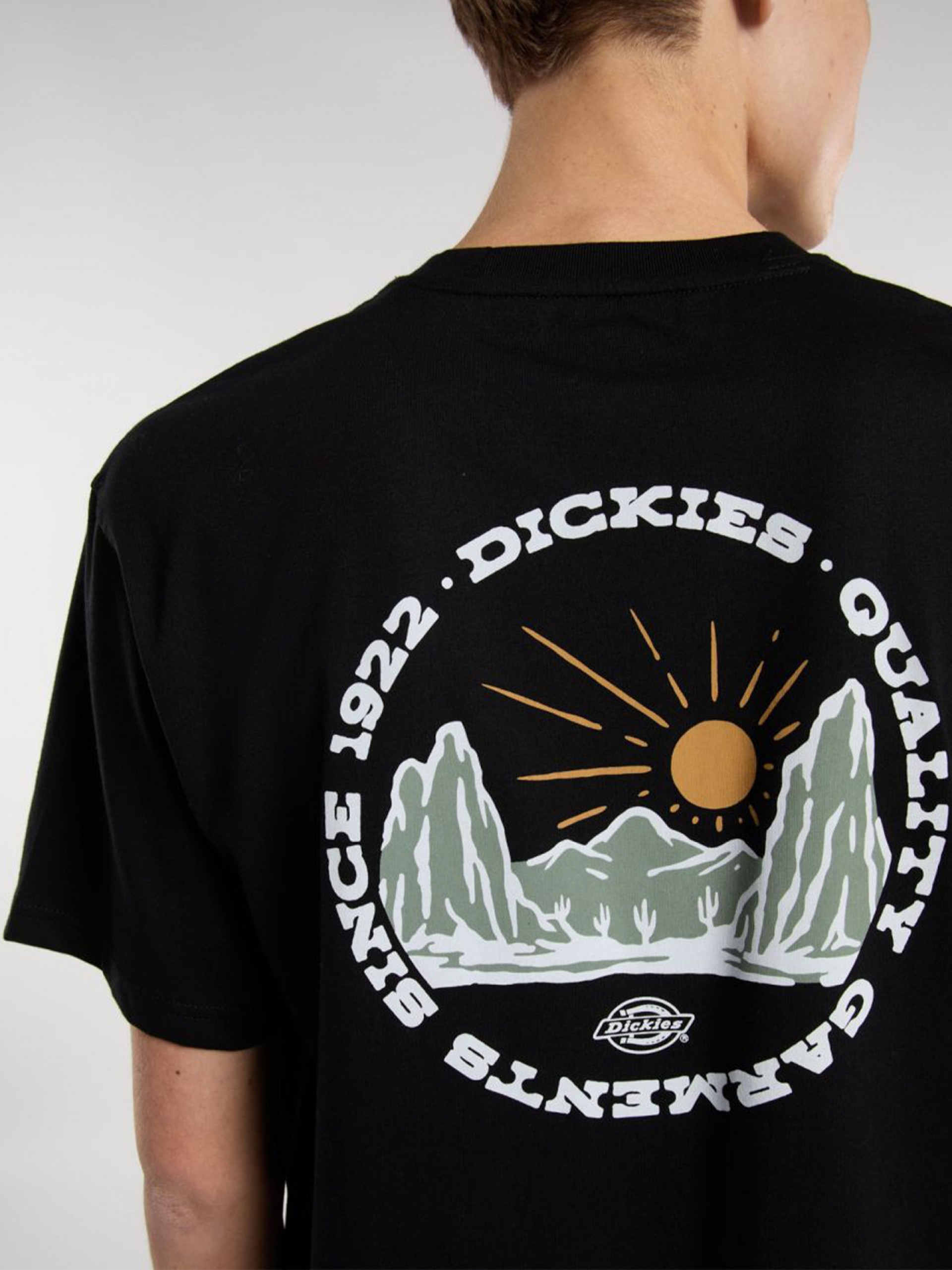 Dickies Outdoor Black T-shirt