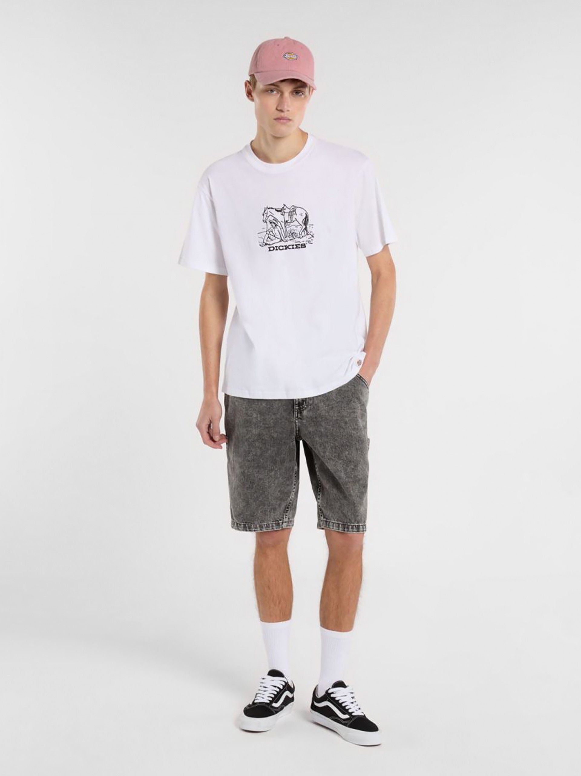 Calções de Ganga Dickies Garyville Cinzentos