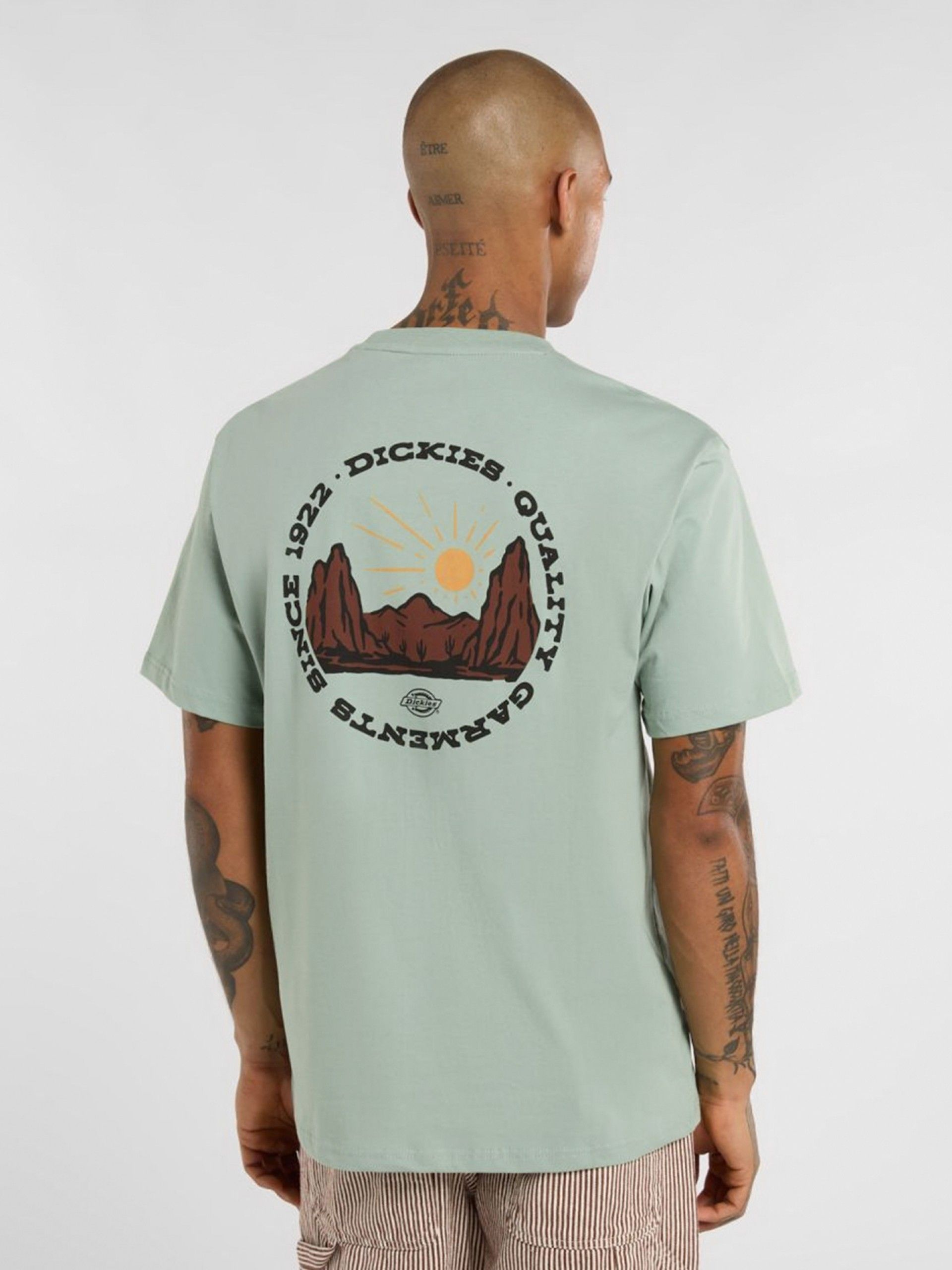 Dickies Outdoor Green T-shirt