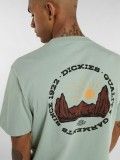 Camiseta Dickies Outdoor Verde