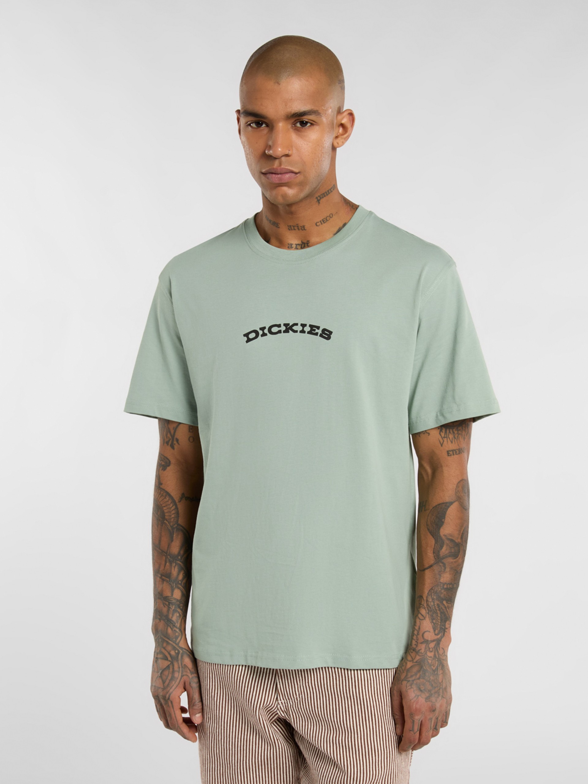 Dickies Outdoor Green T-shirt