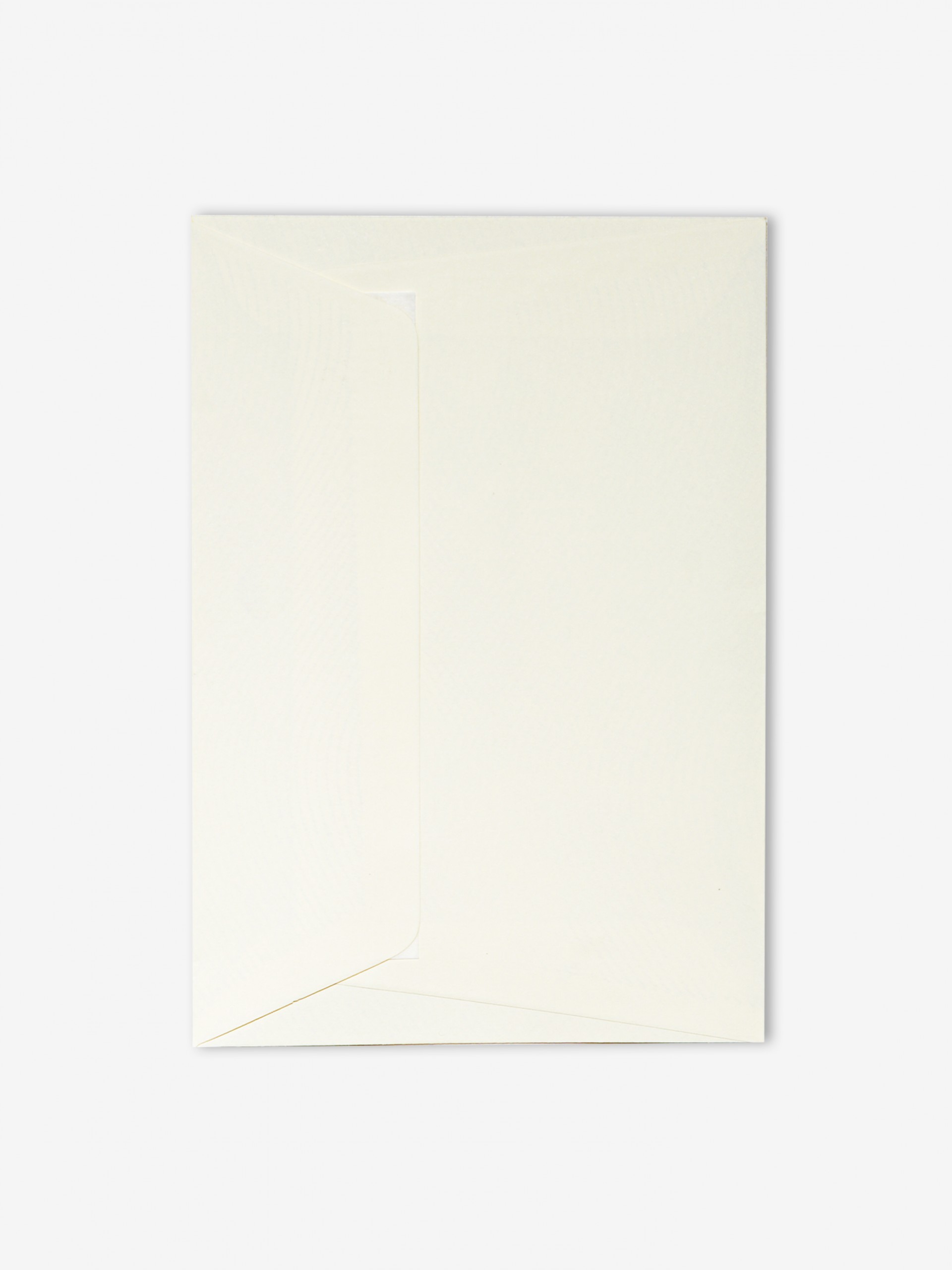 Mãe Galinha (Mother Hen) Postcard