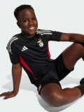 Adidas S. L. Benfica Tiro 25 Competition Junior 25/26 Training Jersey