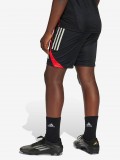 Cales de Treino Adidas S. L. Benfica Tiro 25 Competition Junior EP25/26