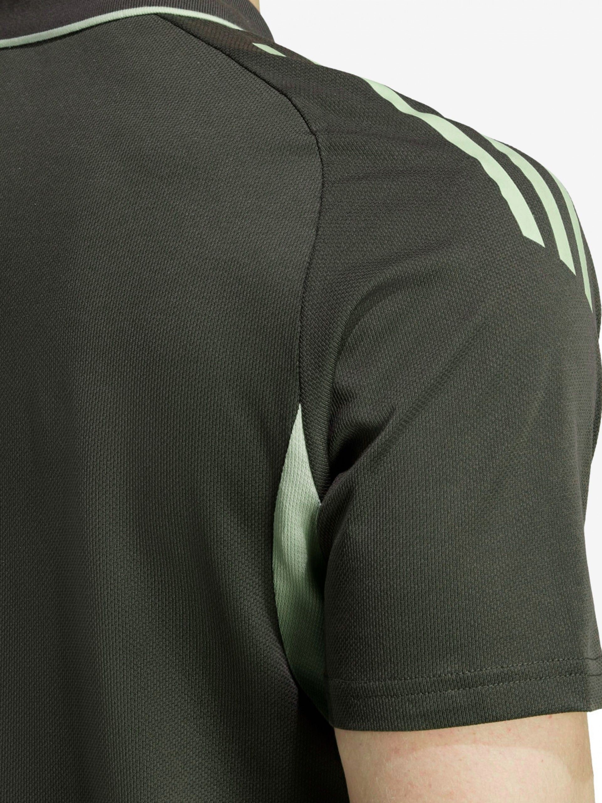 Polo Adidas Real Madrid Verde EP25/26