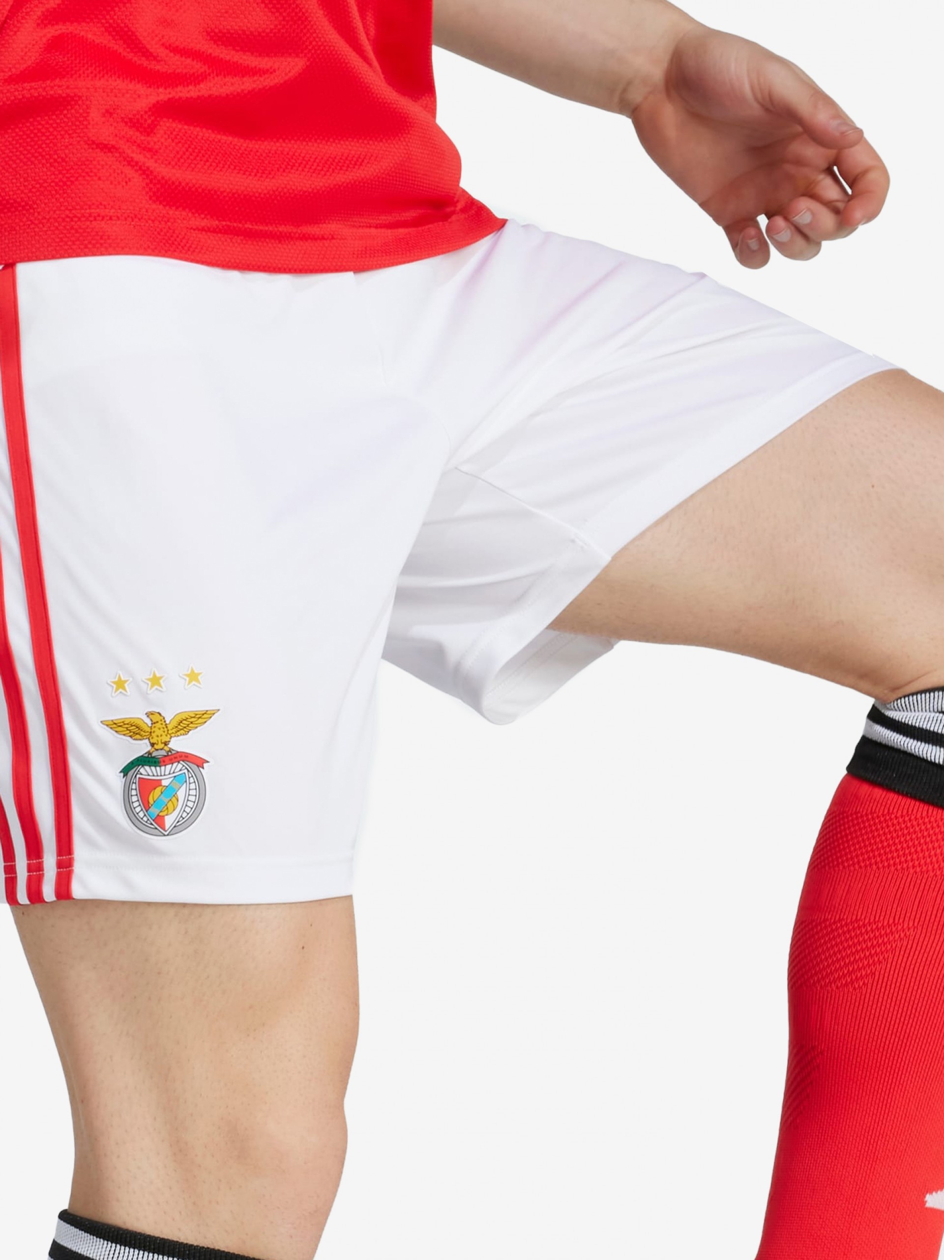 Pantalones Cortos Adidas Equipación Principal S. L. Benfica 25/26