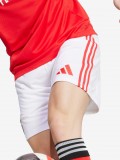 Pantalones Cortos Adidas Equipacin Principal S. L. Benfica 25/26