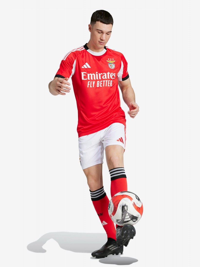 Pantalones Cortos Adidas Equipacin Principal S. L. Benfica 25/26