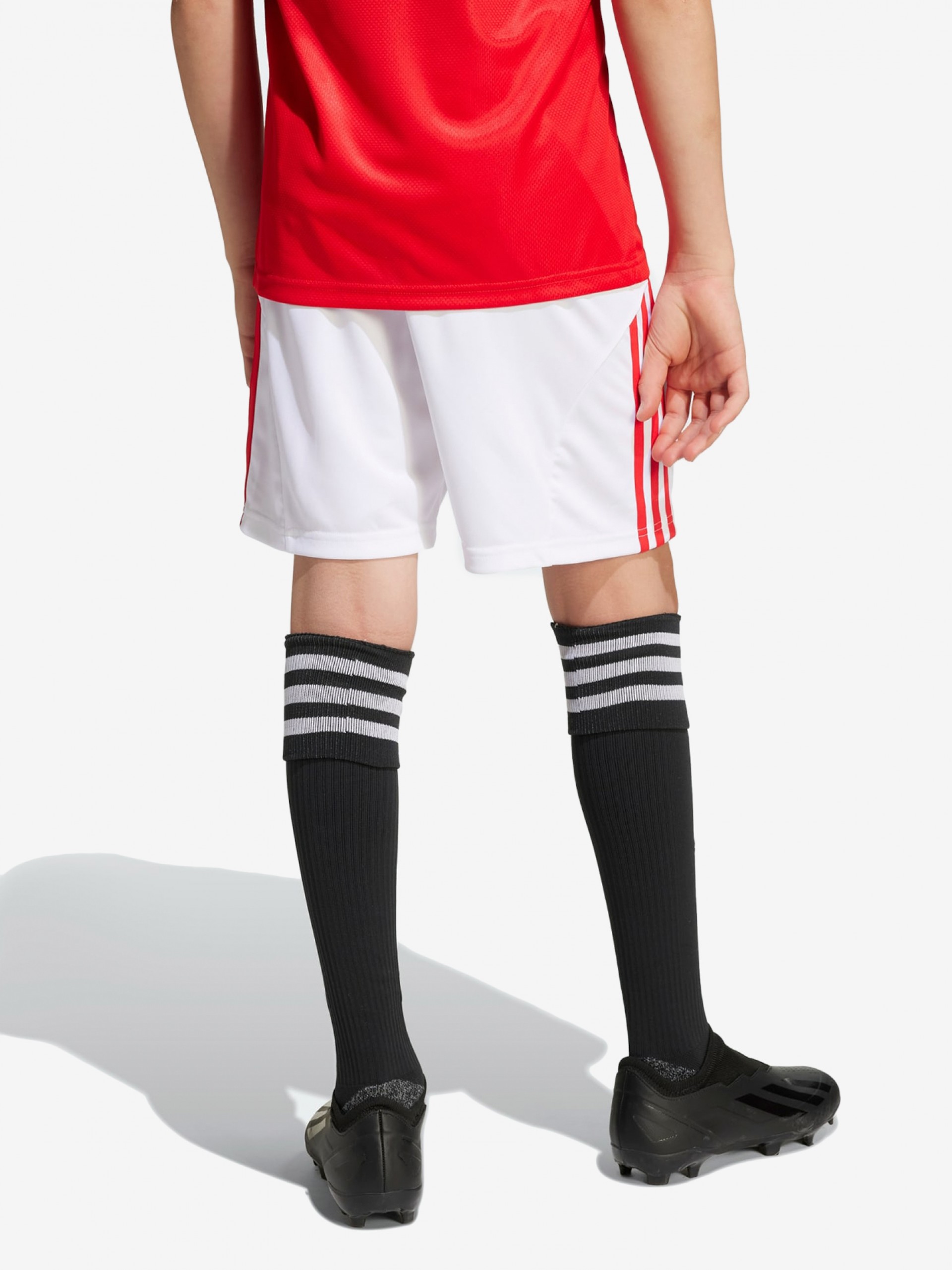 Calções Adidas Equipamento Principal S. L. Benfica Junior EP25/26