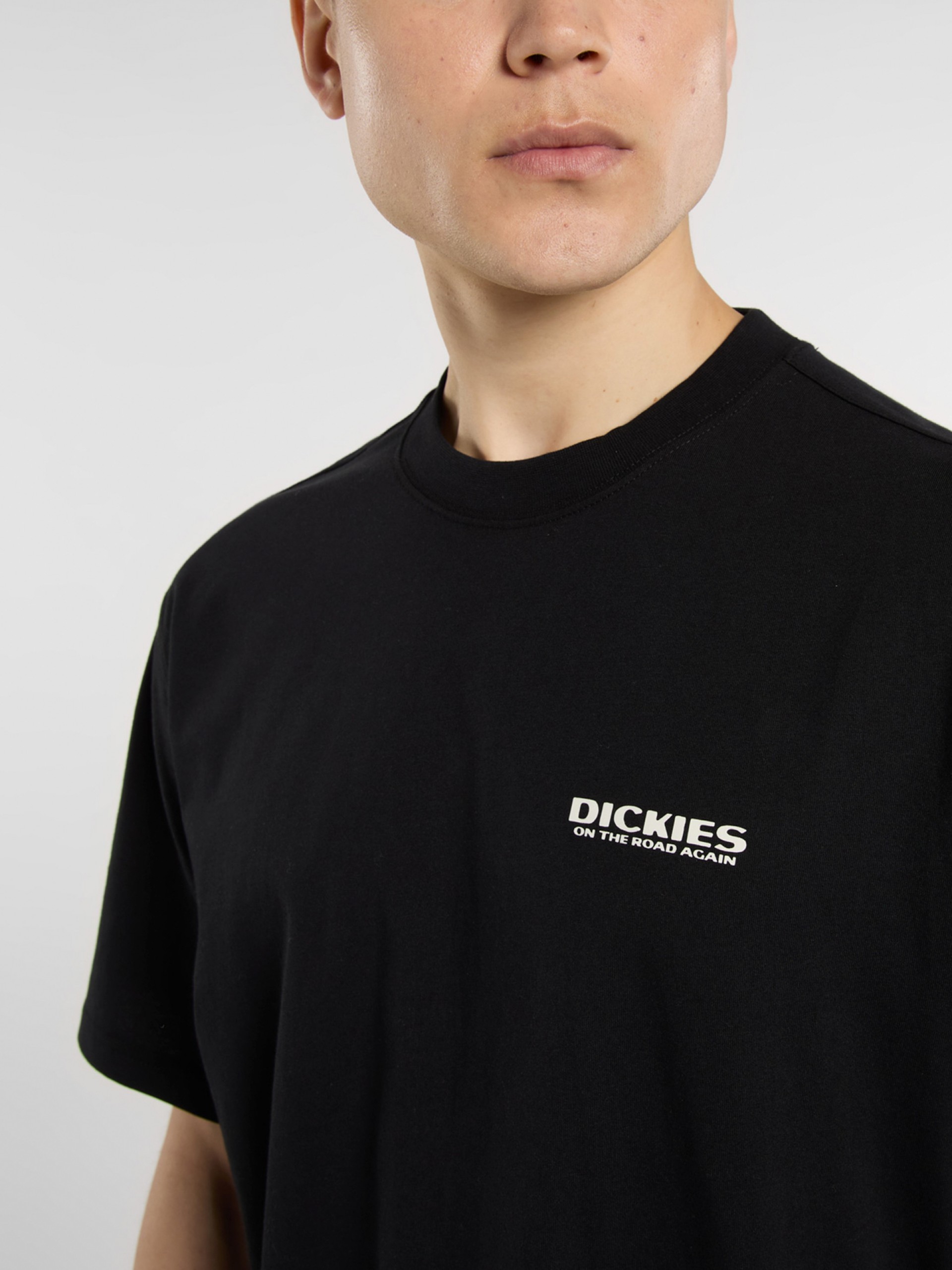 Dickies Burns Black T-shirt
