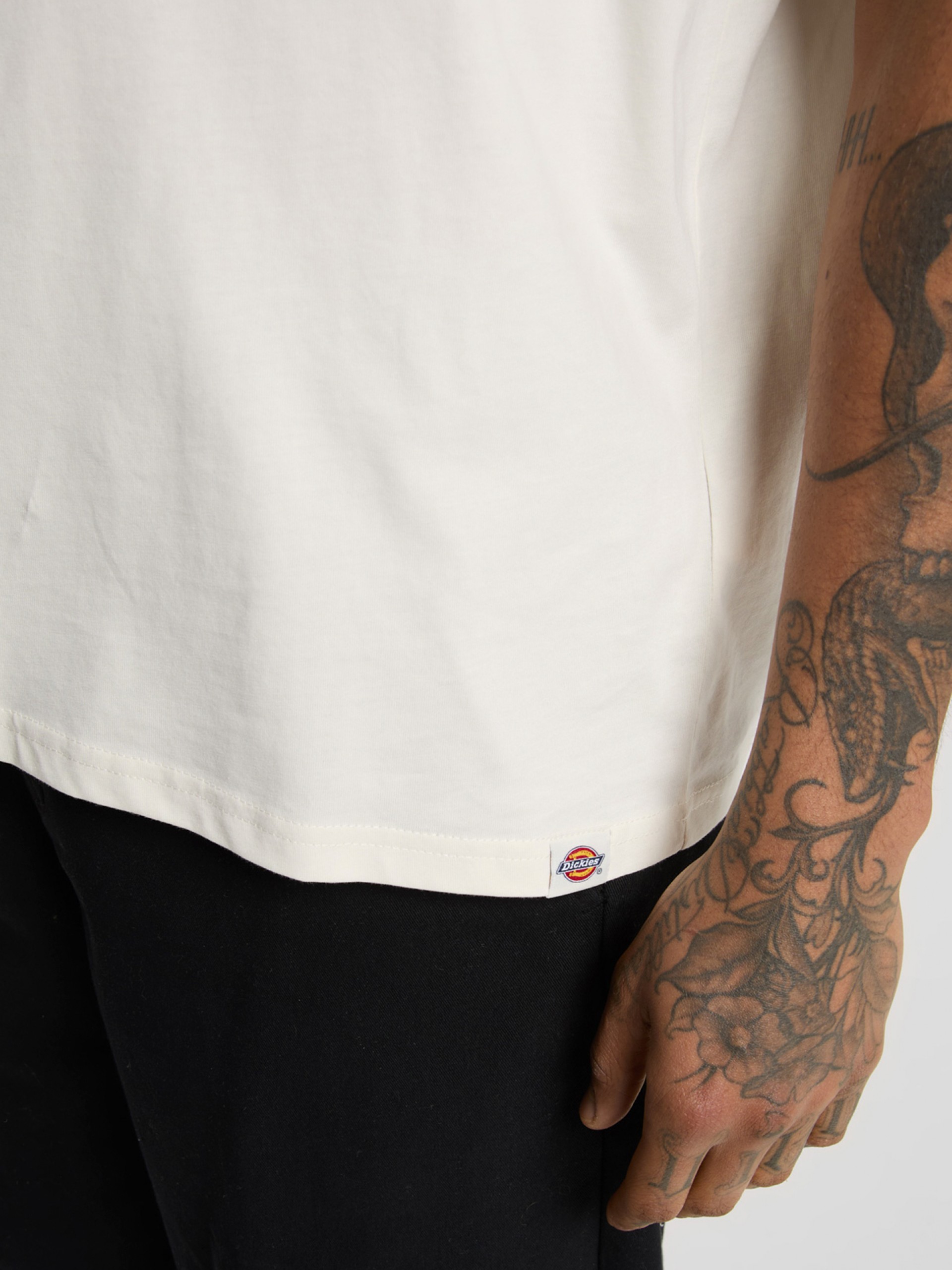 T-shirt Dickies Sneedville Bege