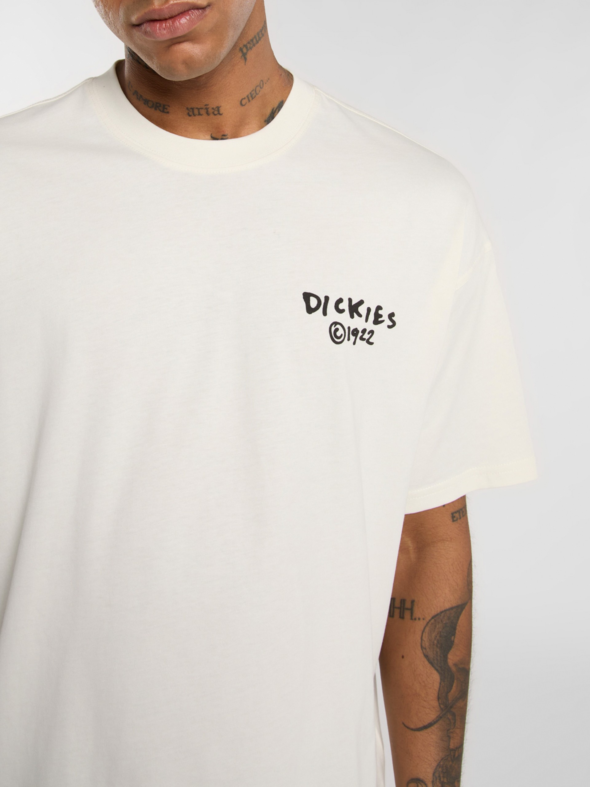 T-shirt Dickies Sneedville Bege