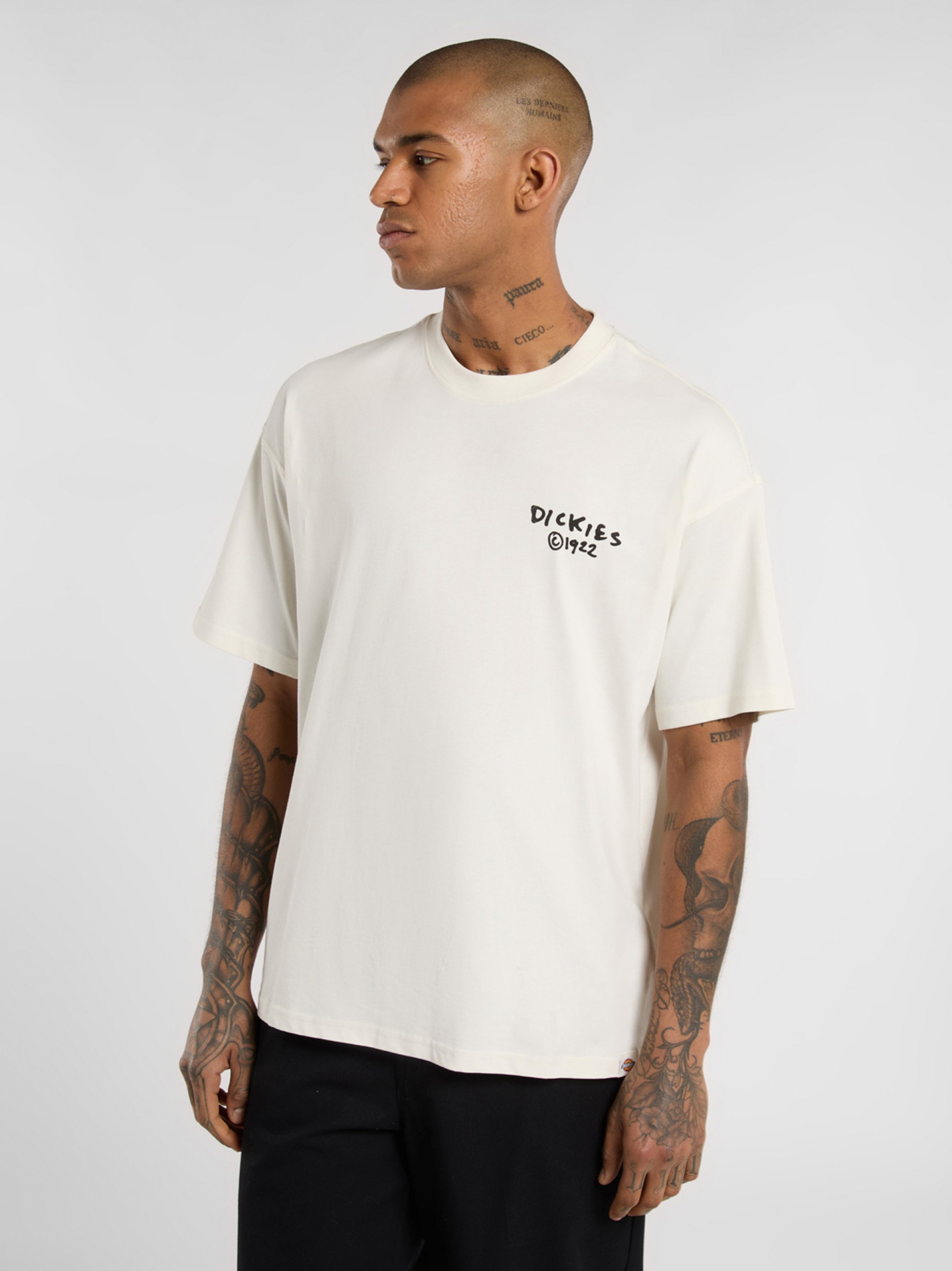 T-shirt Dickies Sneedville Bege