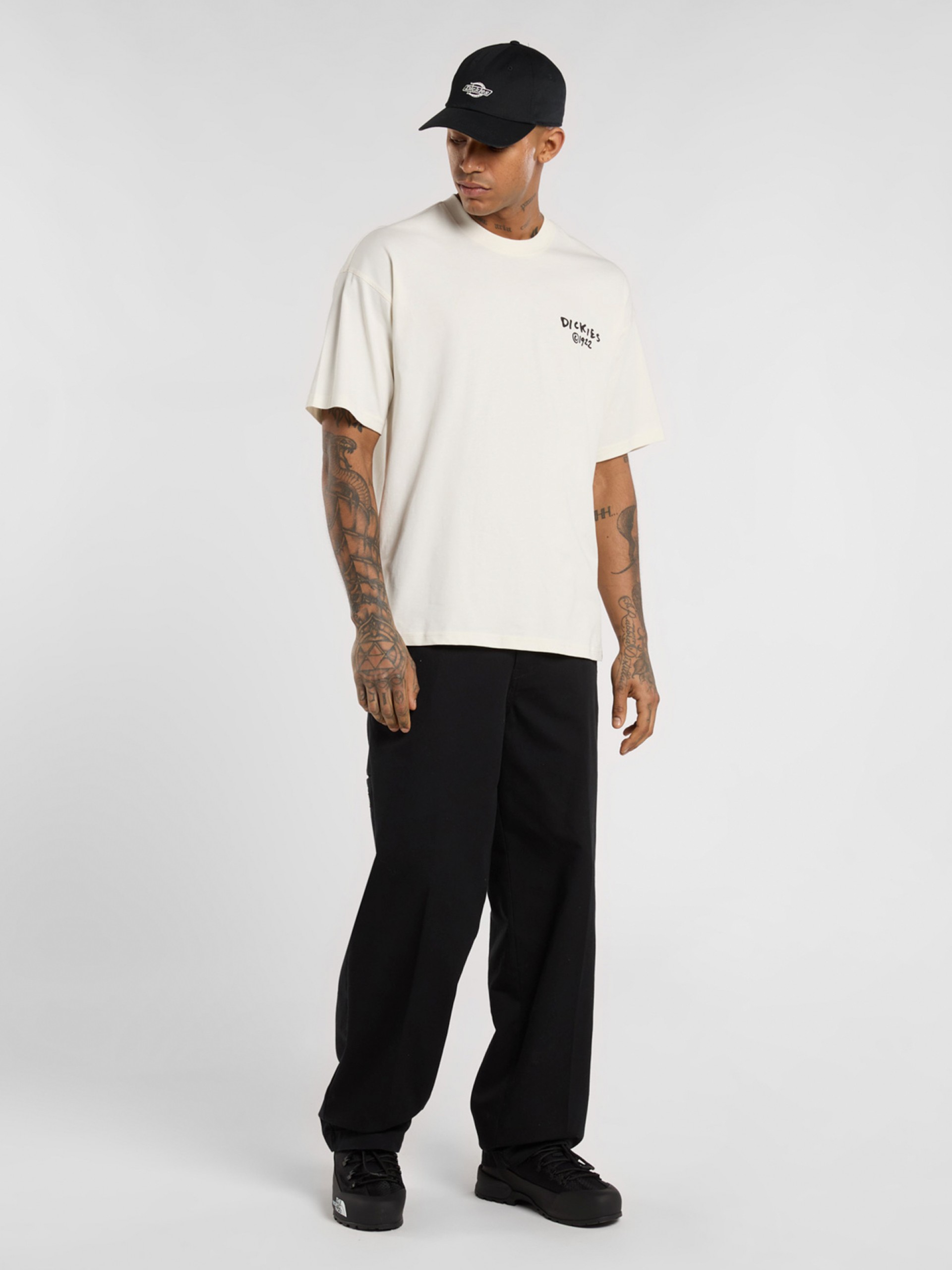 T-shirt Dickies Sneedville Bege