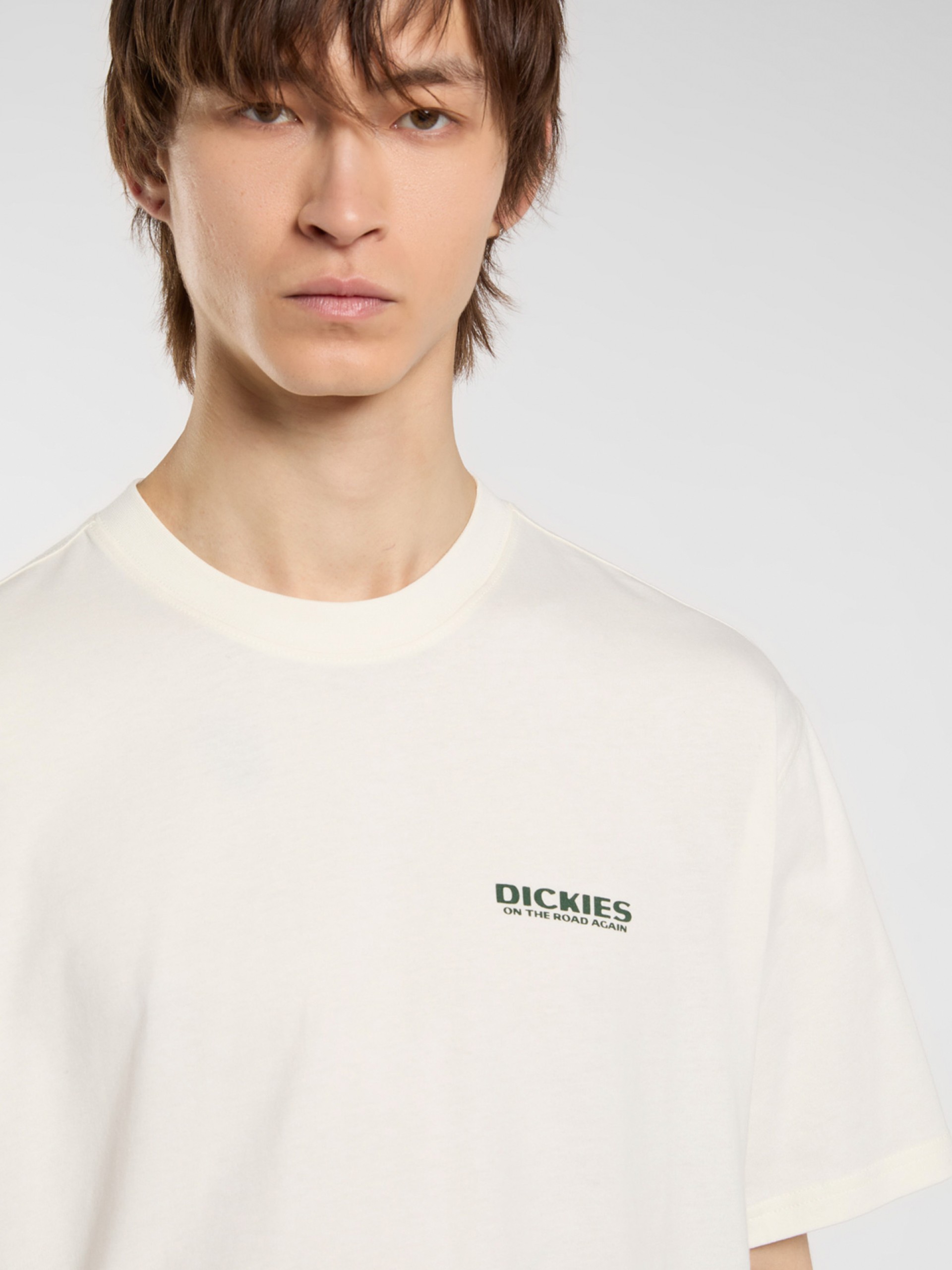 Dickies Burns Beige T-shirt