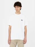 Camiseta Dickies Summerdale Blanca