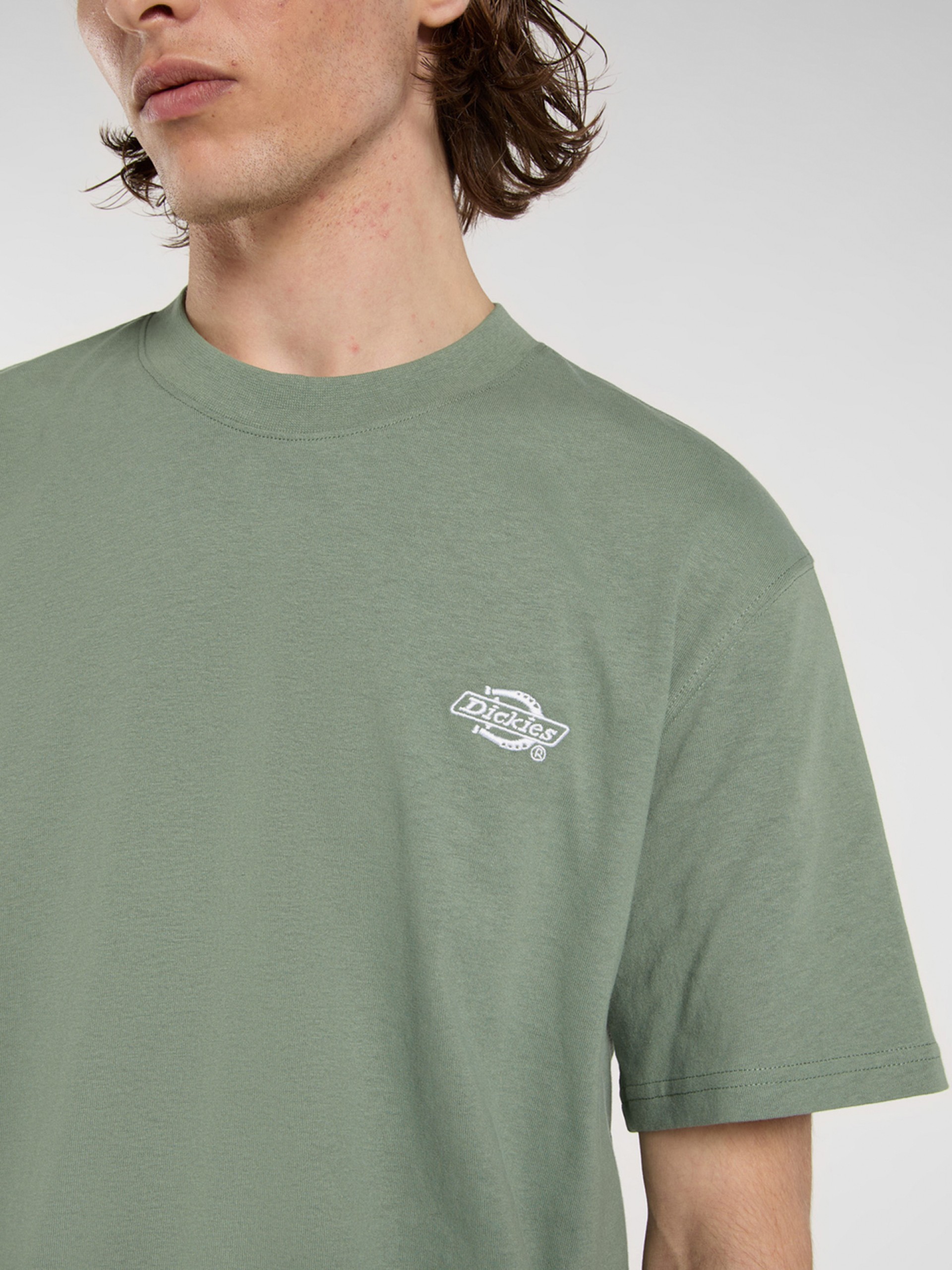 T-shirt Dickies Summerdale Verde