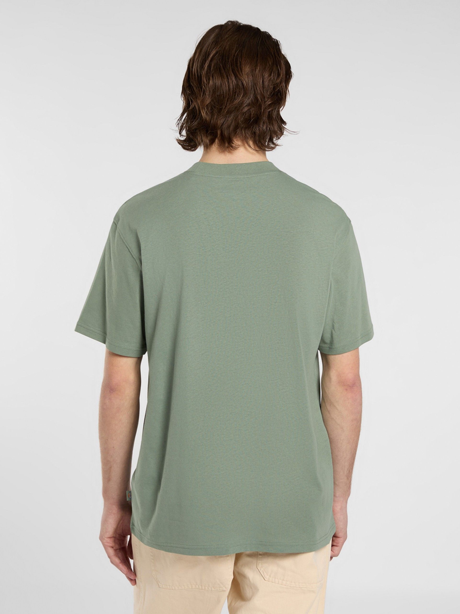 T-shirt Dickies Summerdale Verde