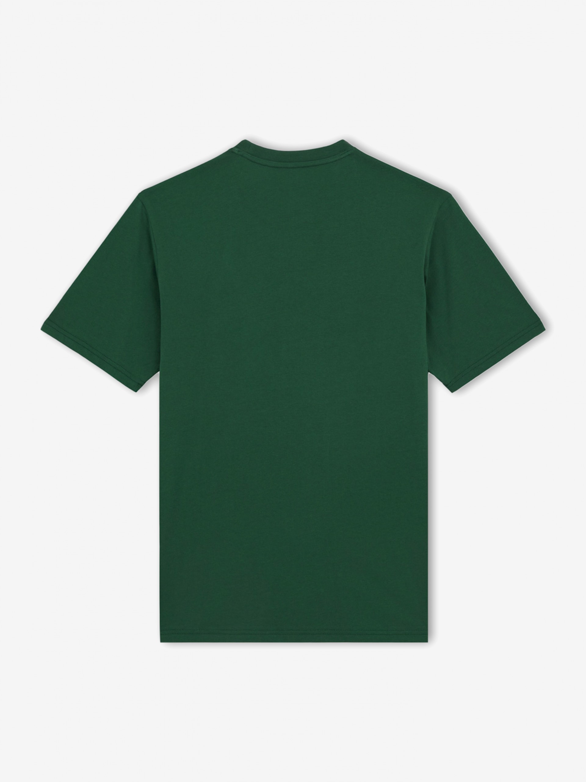 T-shirt Dickies Mapleton Verde