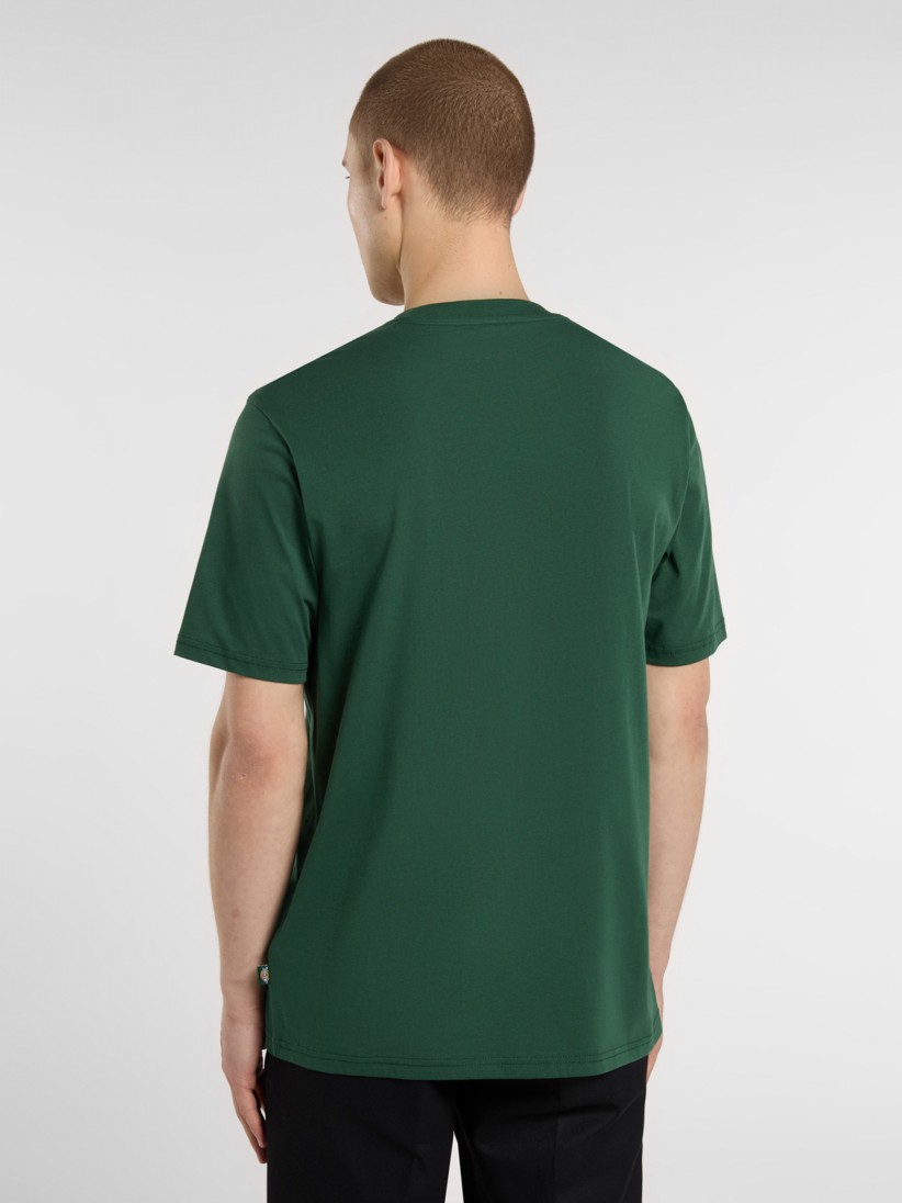 T-shirt Dickies Mapleton Verde