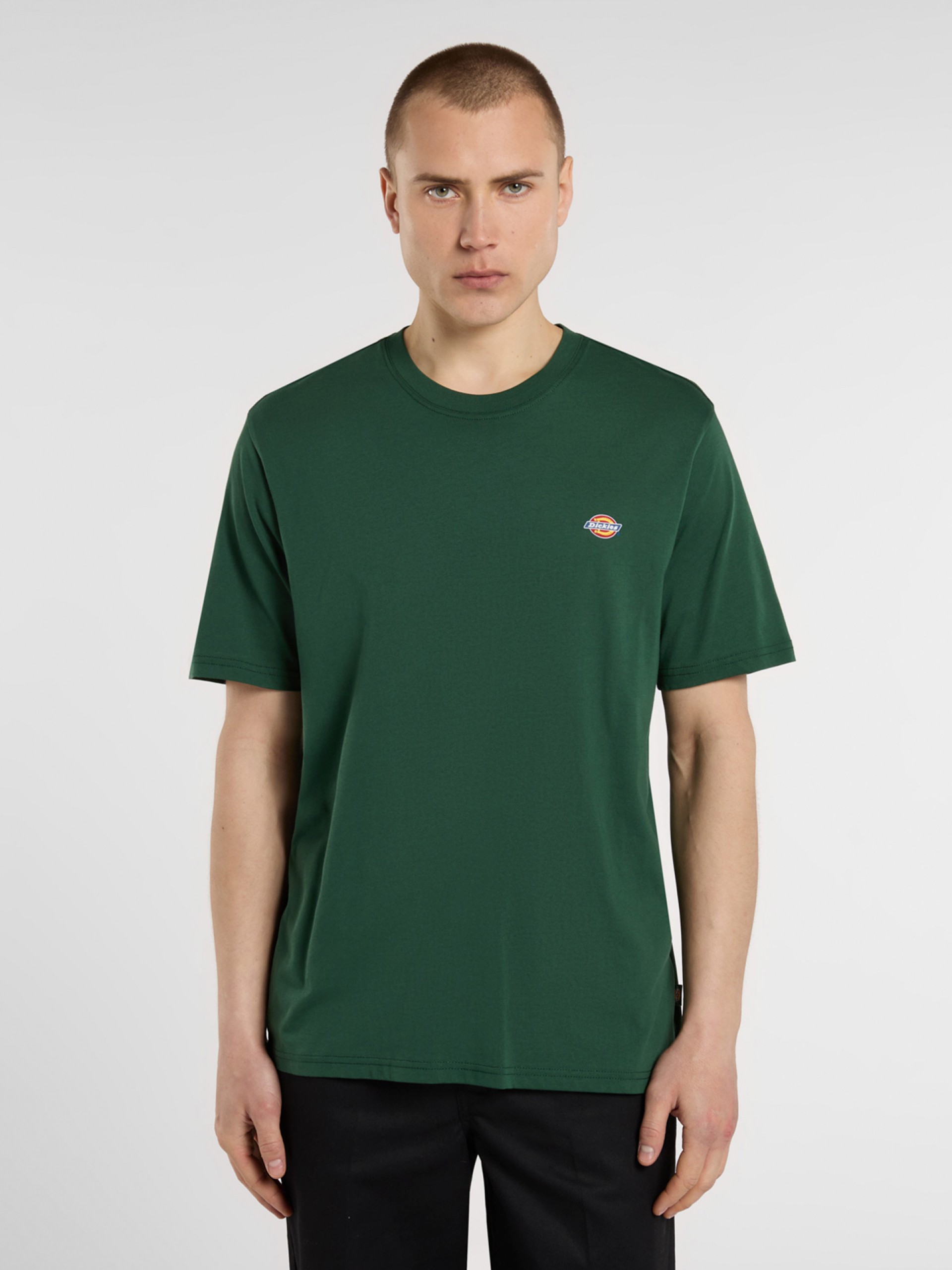 Camiseta Dickies Mapleton Verde