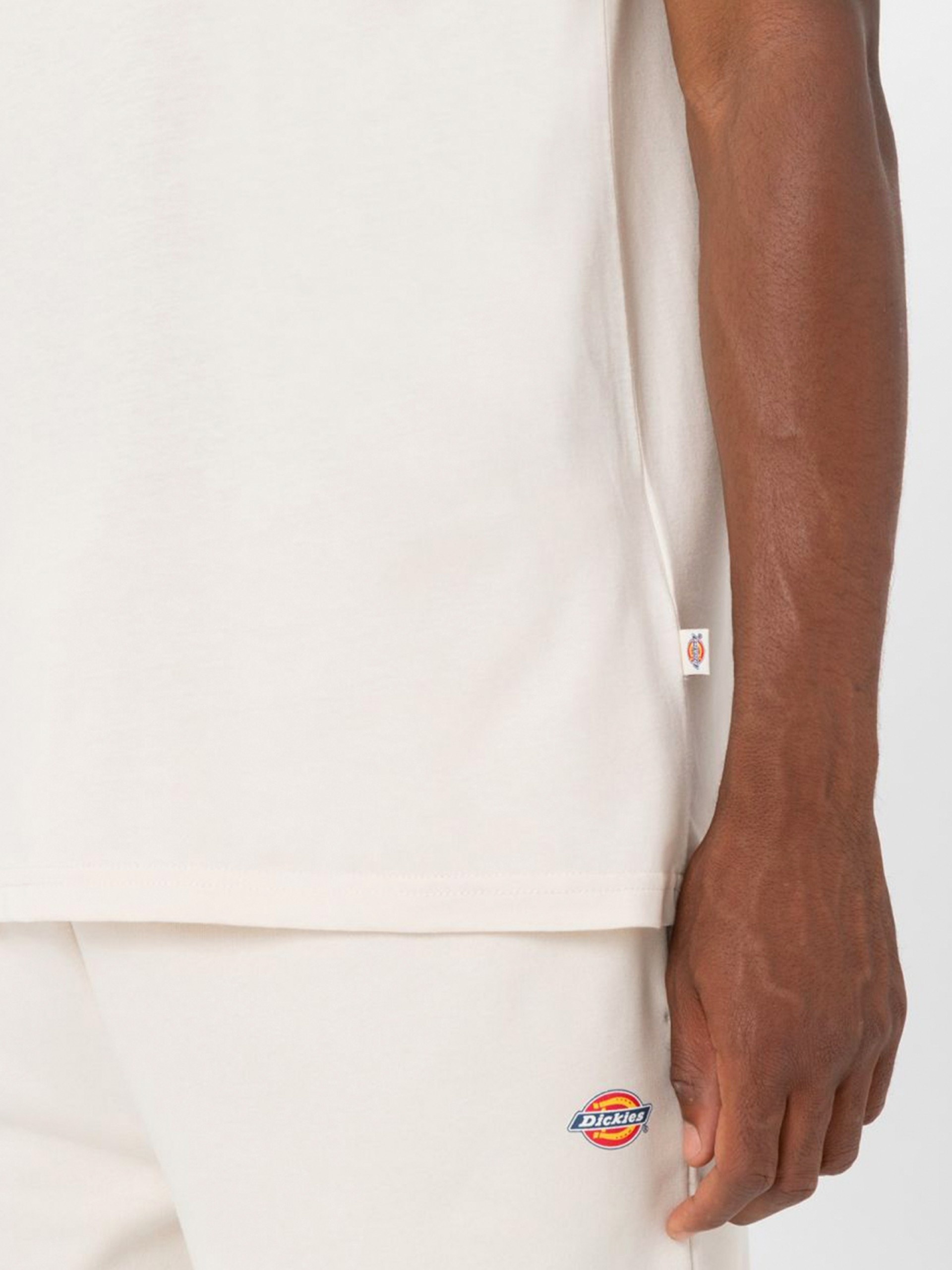 T-shirt Dickies Mapleton Bege
