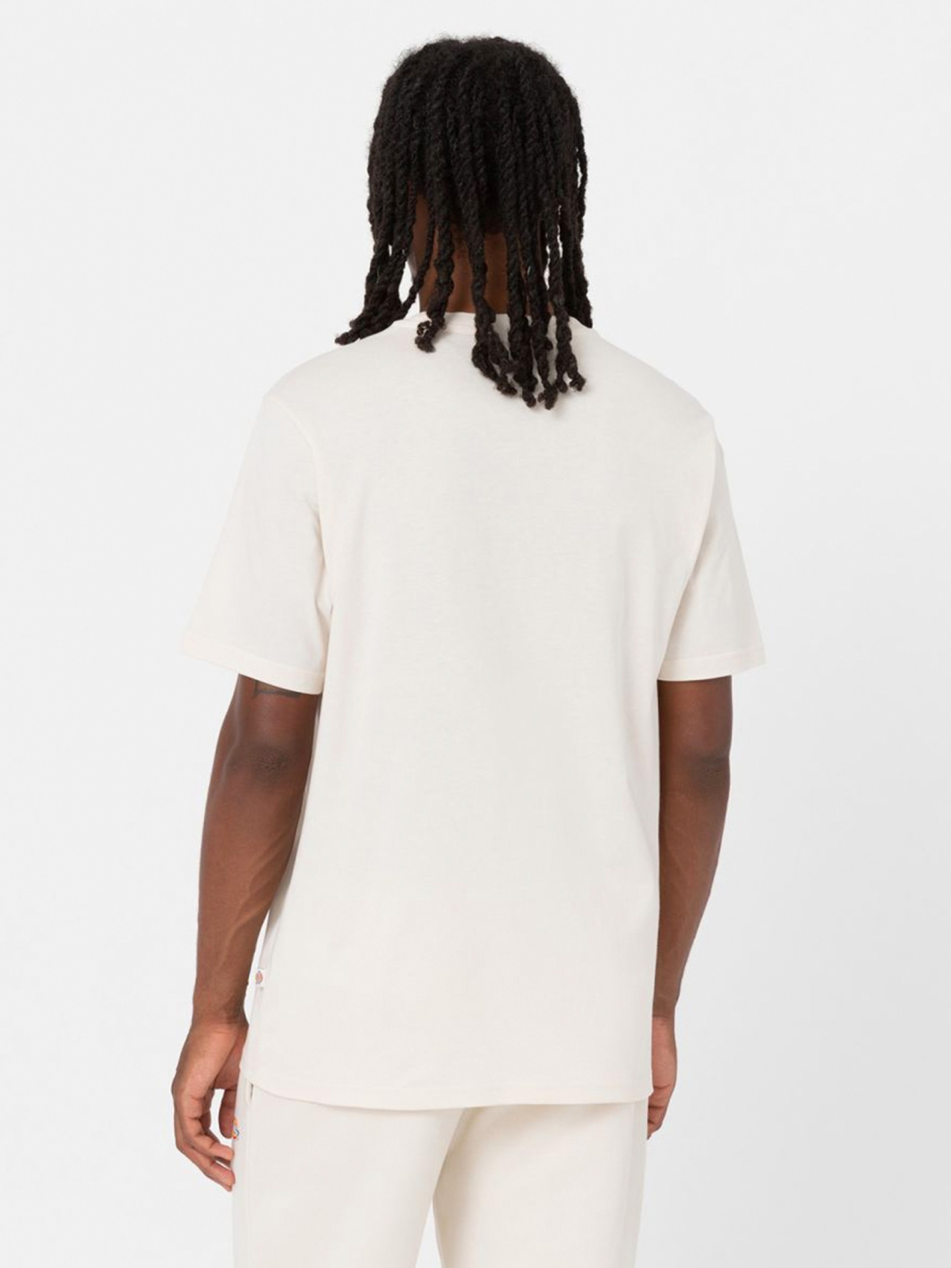 T-shirt Dickies Mapleton Bege