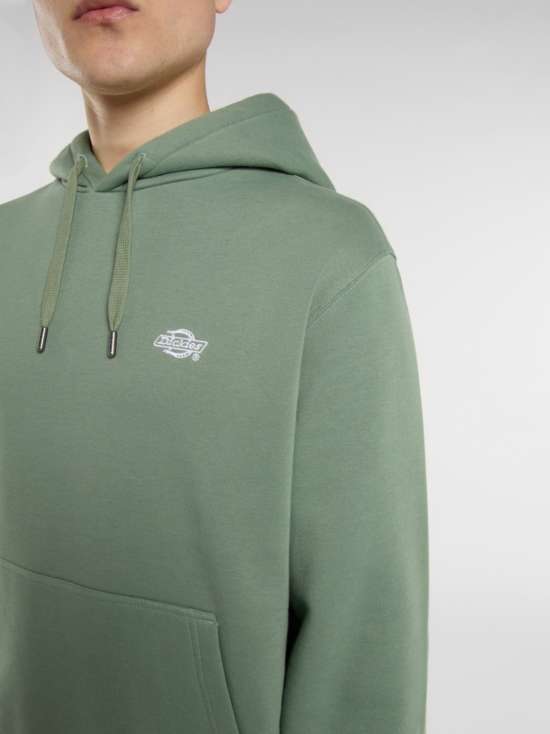 Sudadera con Capucha Dickies Summerdale Verde