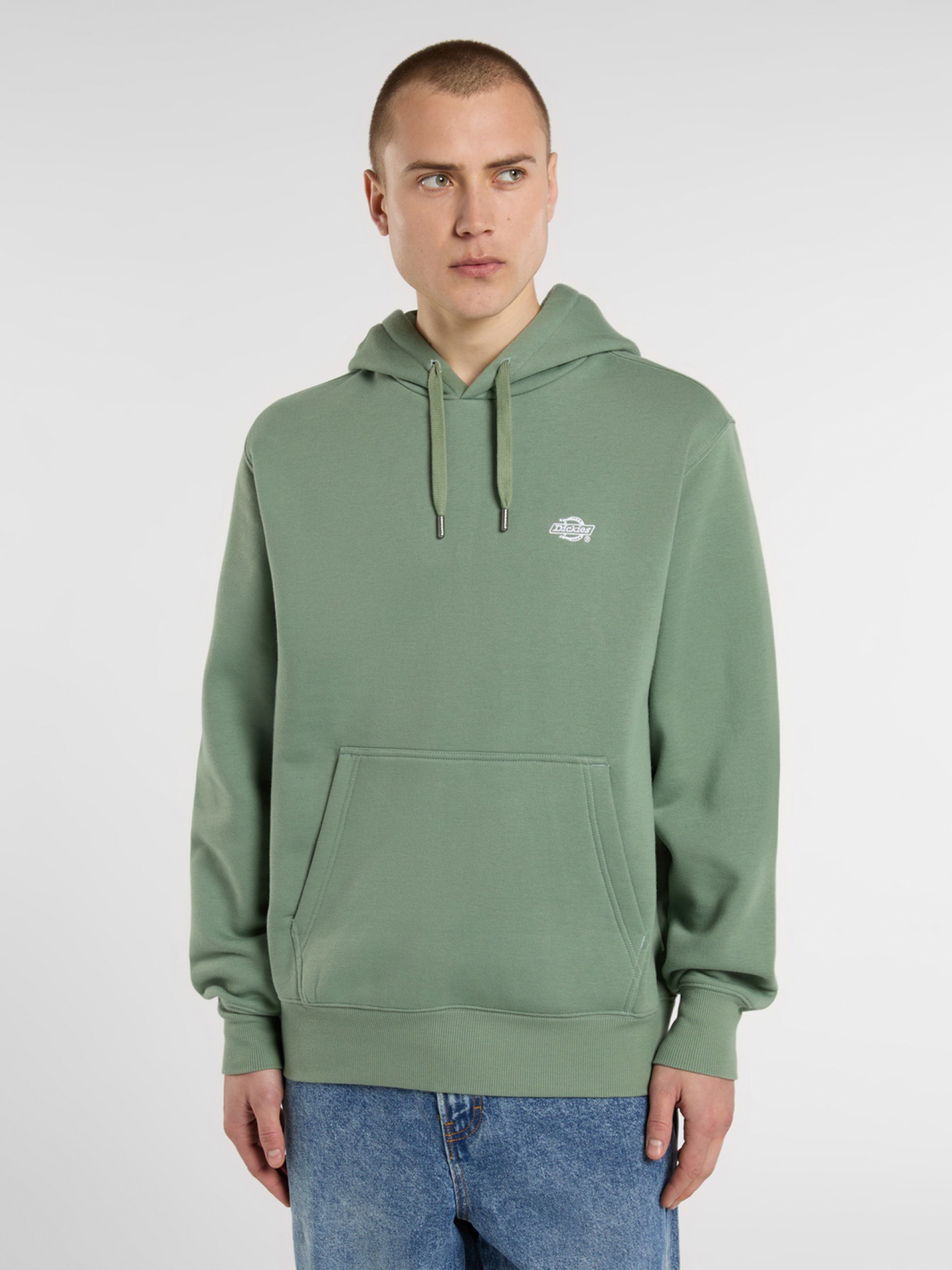 Sudadera con Capucha Dickies Summerdale Verde