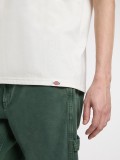 Dickies Sevier Beige T-shirt