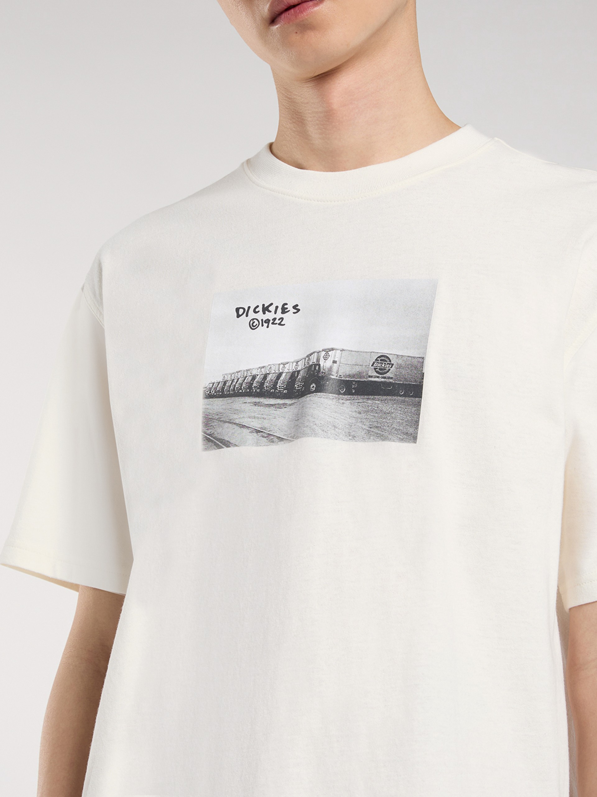 T-shirt Dickies Sevier Bege