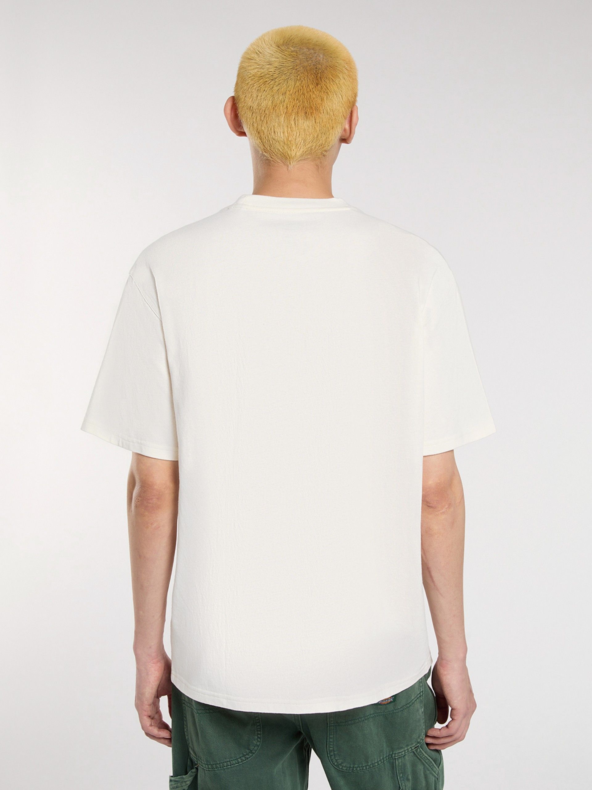 Dickies Sevier Beige T-shirt