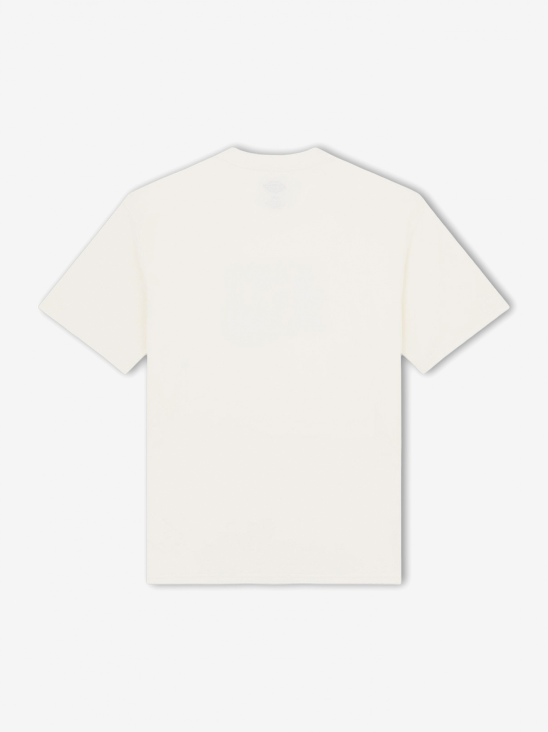 Dickies Sevier Beige T-shirt