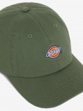 Bon Dickies Hardwick Verde