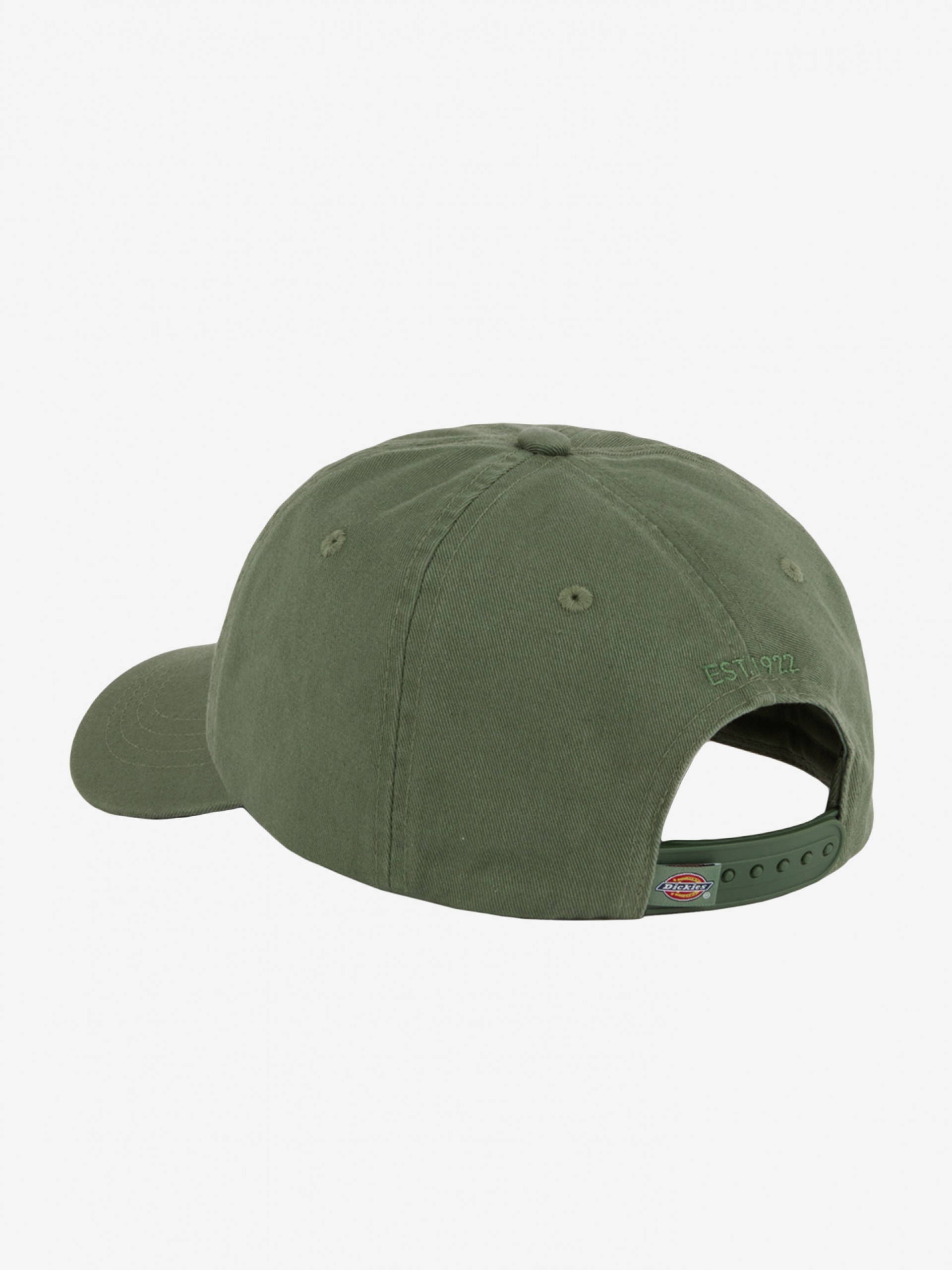 Gorra Dickies Hardwick Verde