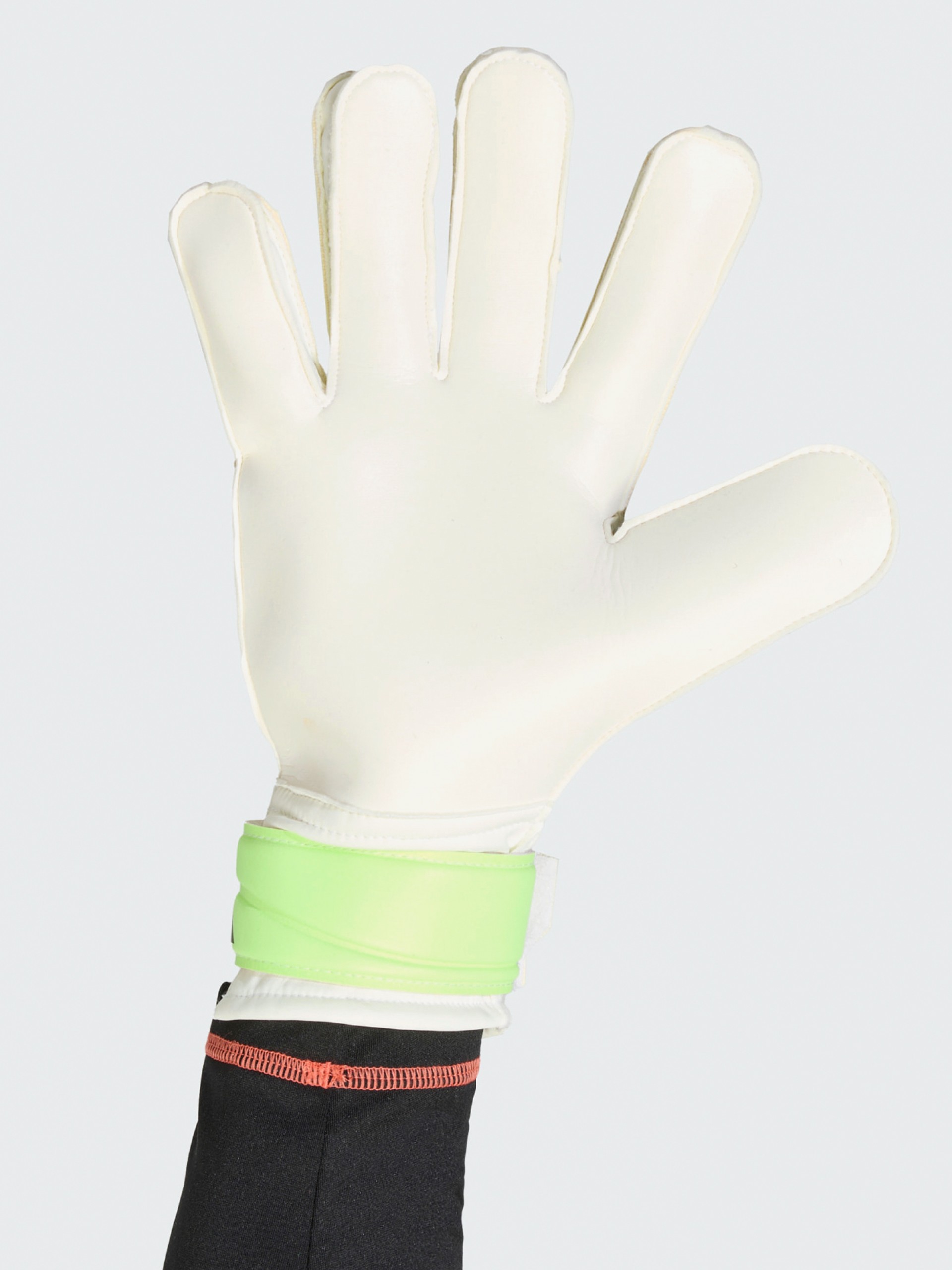 Luvas de Guarda-Redes Para Treino Adidas Predator