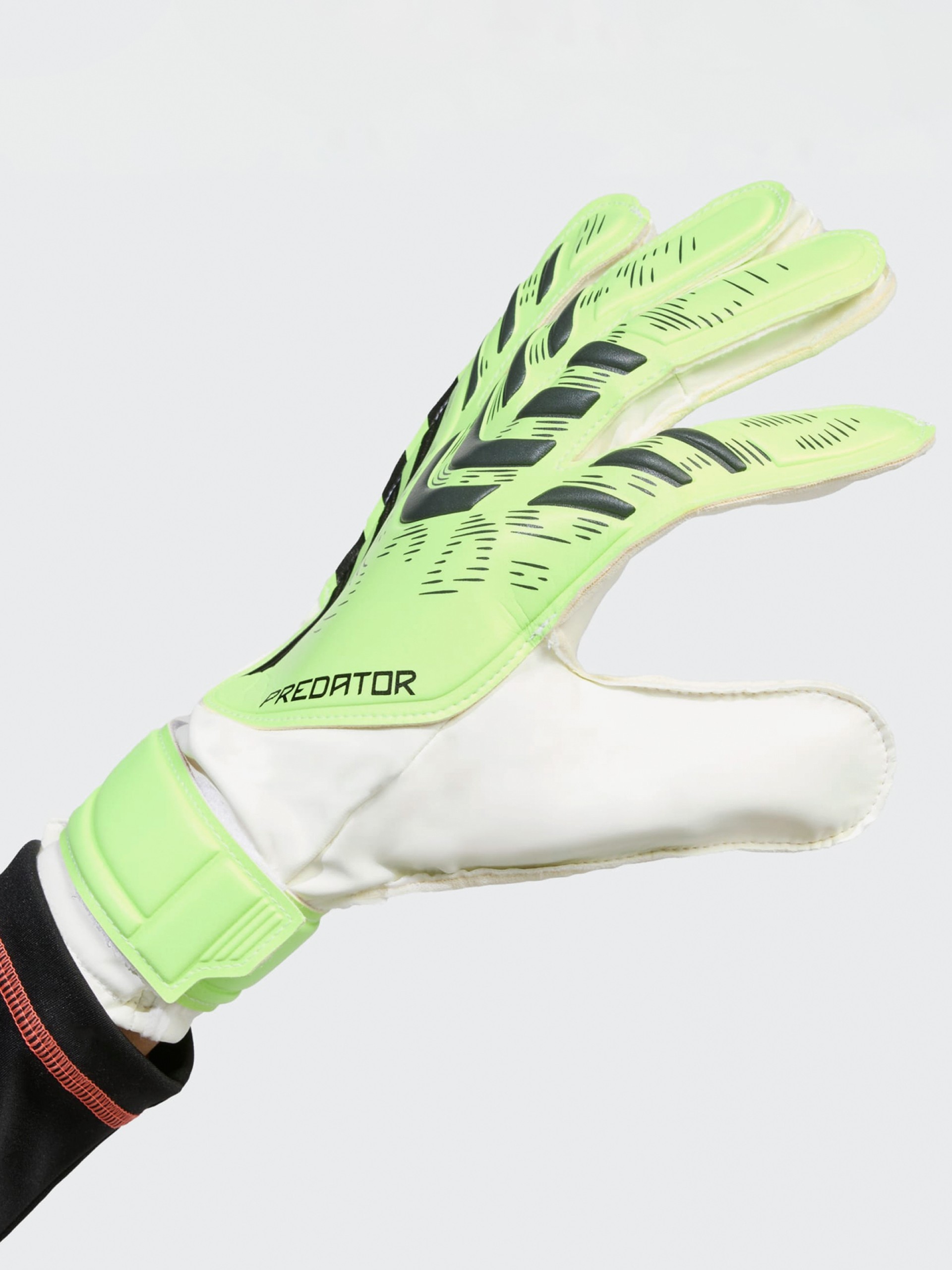 Luvas de Guarda-Redes Para Treino Adidas Predator