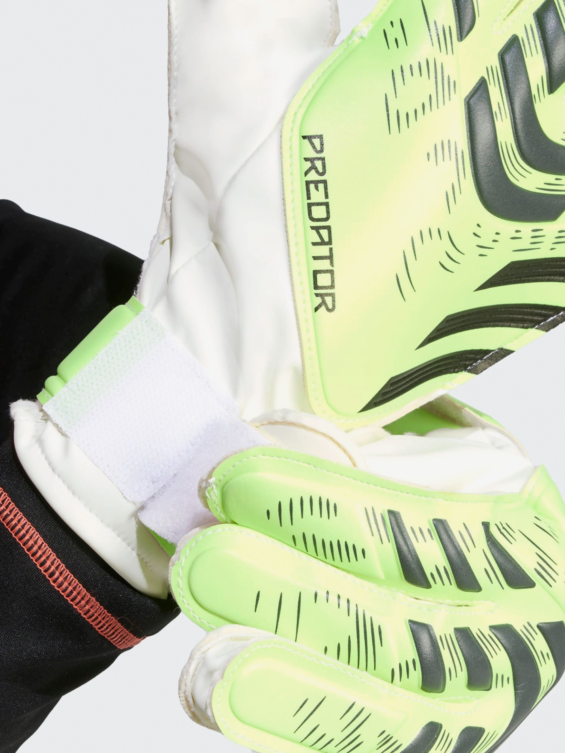 Luvas de Guarda-Redes Para Treino Adidas Predator