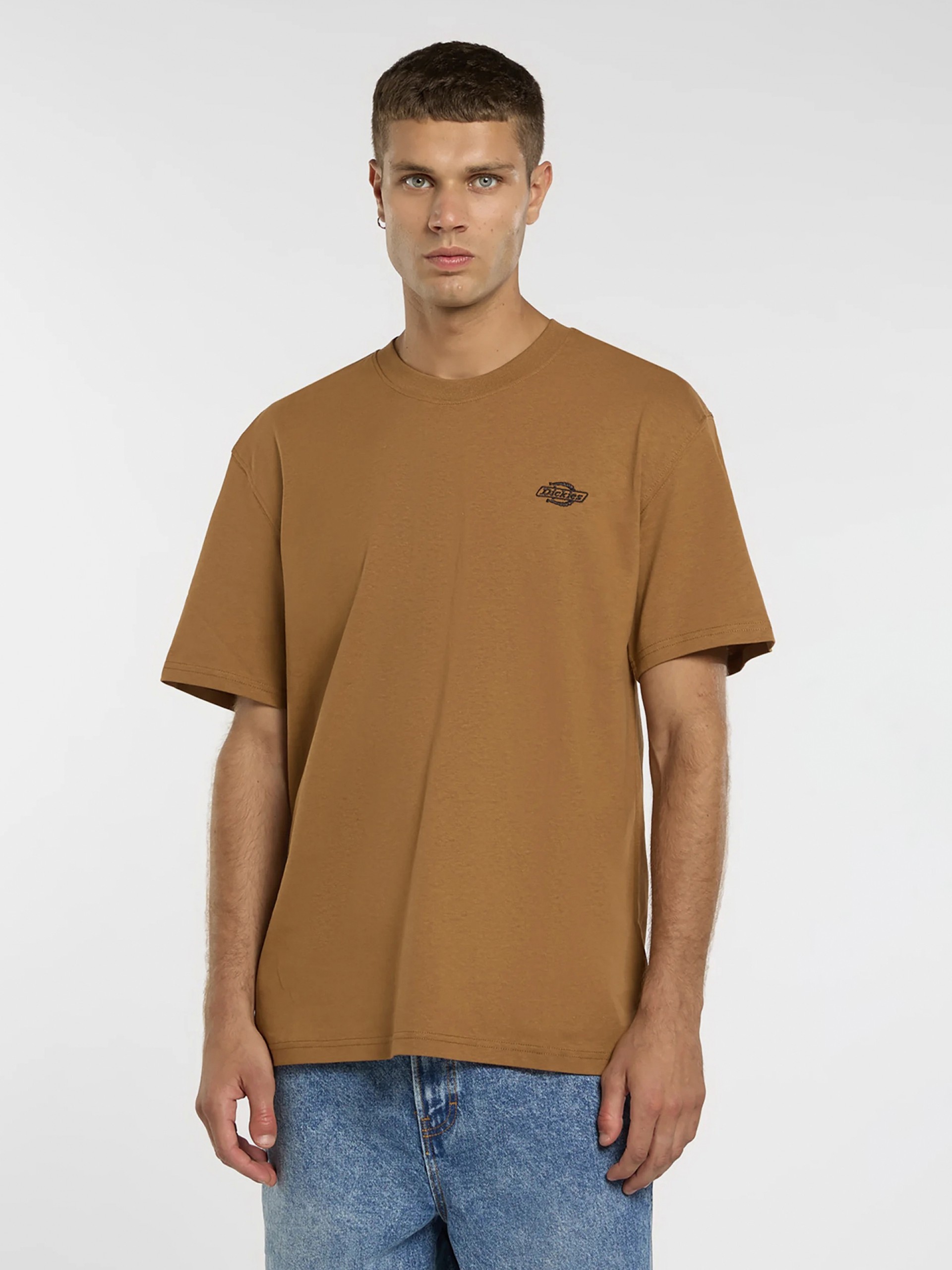 T-shirt Dickies Summerdale Camel