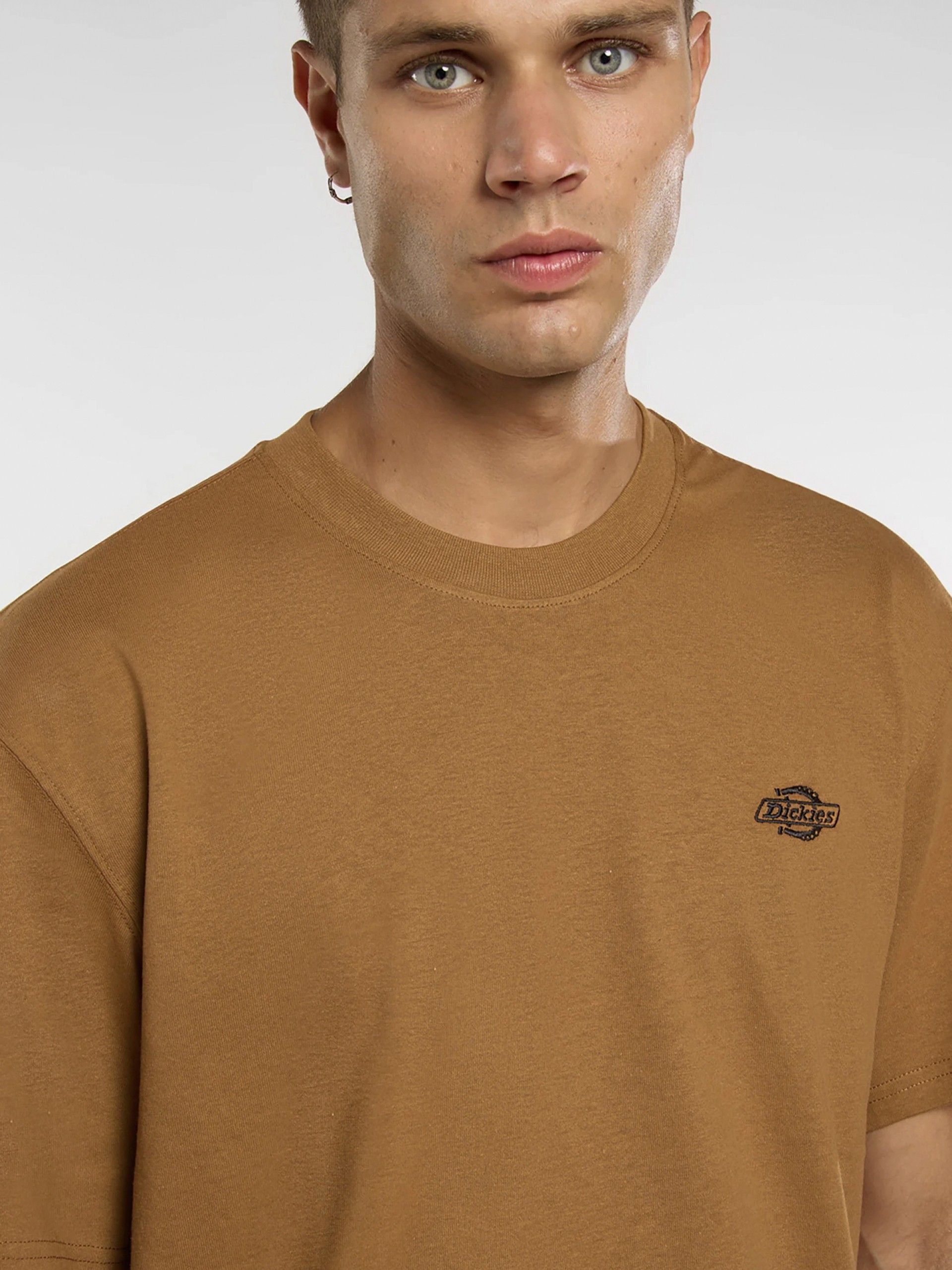 T-shirt Dickies Summerdale Camel