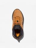 Sapatilhas Timberland Field Trekker Mid J Camel