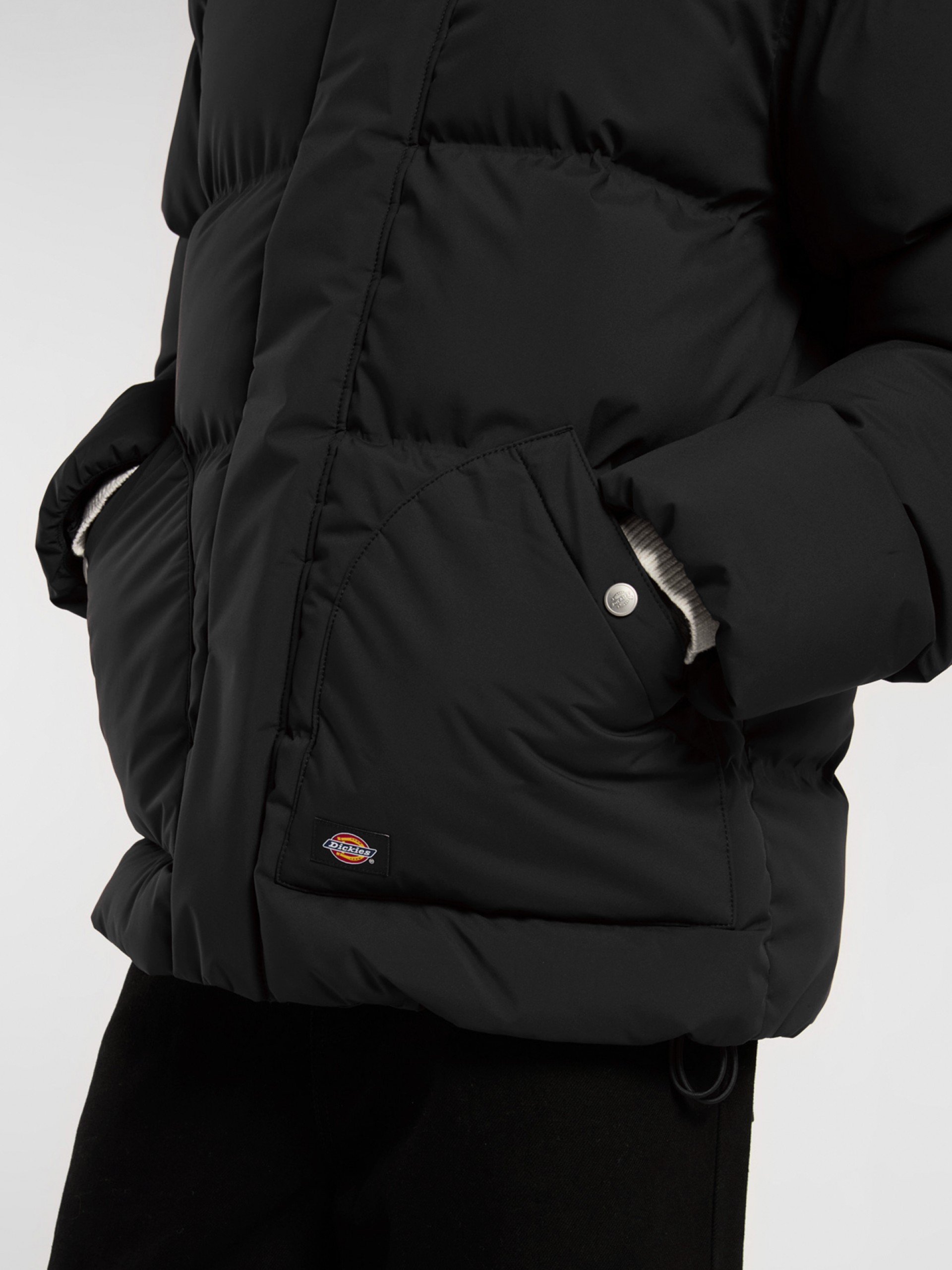 Chaqueta con Capucha Dickies Eagleville Negra