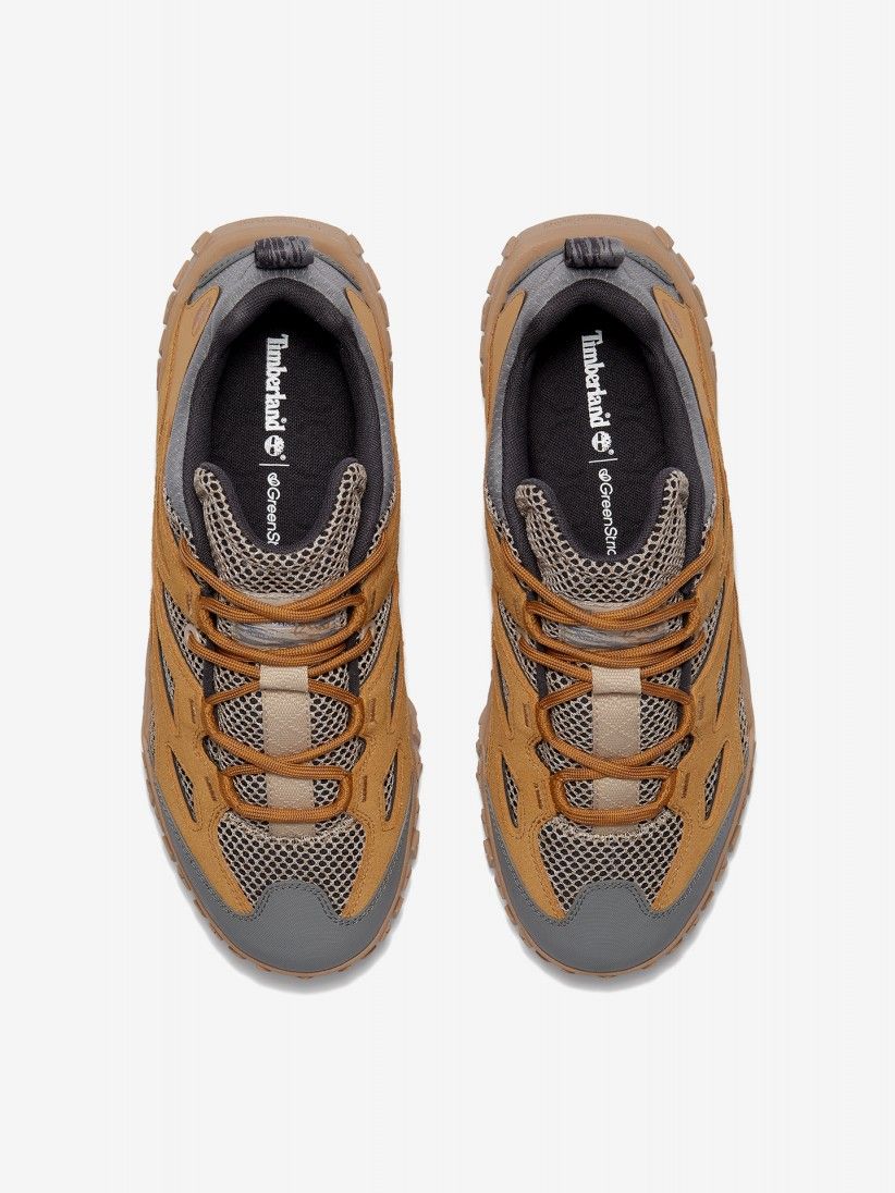 Sapatilhas Timberland GreenStride Motion 6 Low Camel e Cinzentas