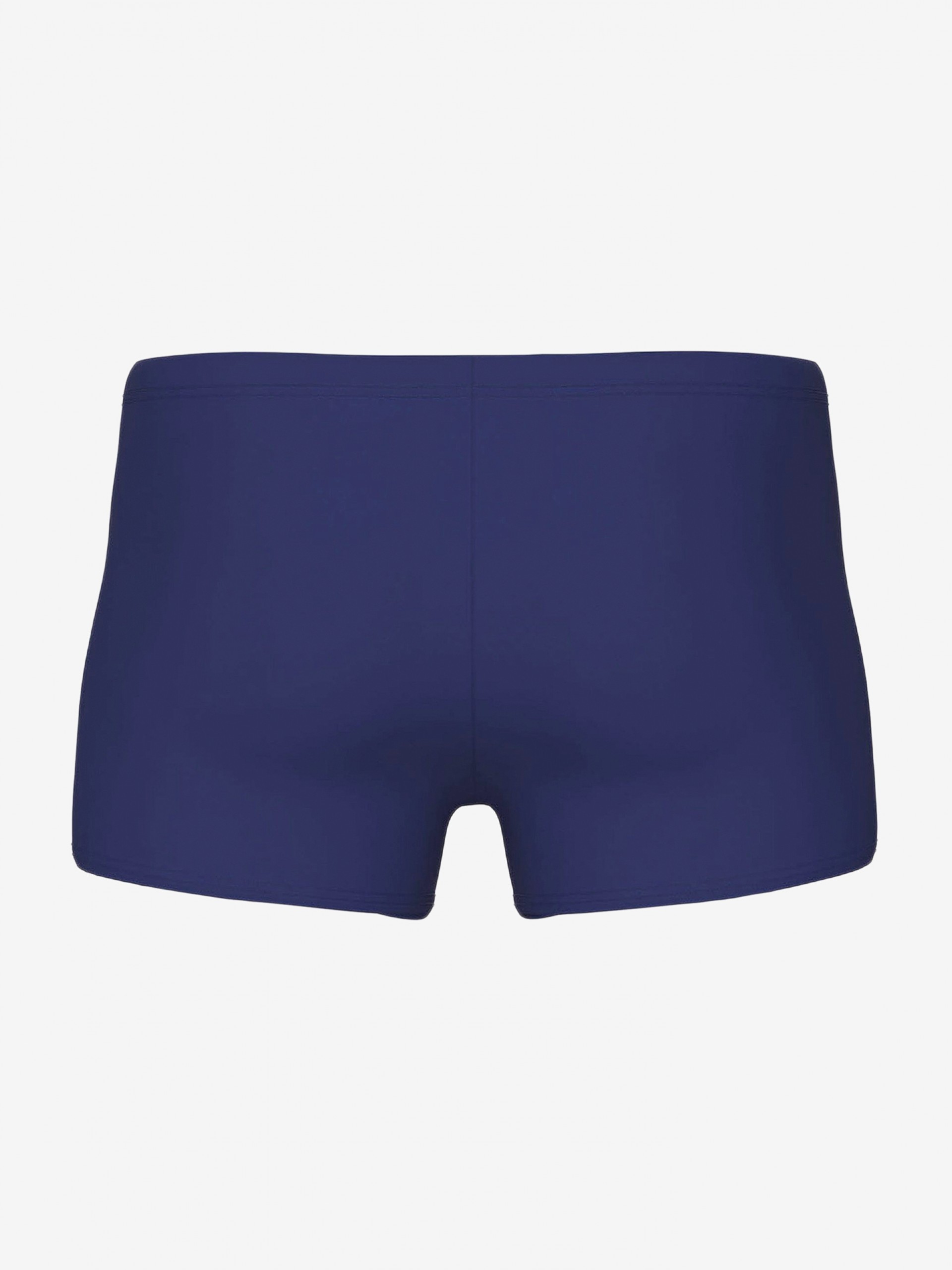 Bañador de Natación Arena Basic Azul