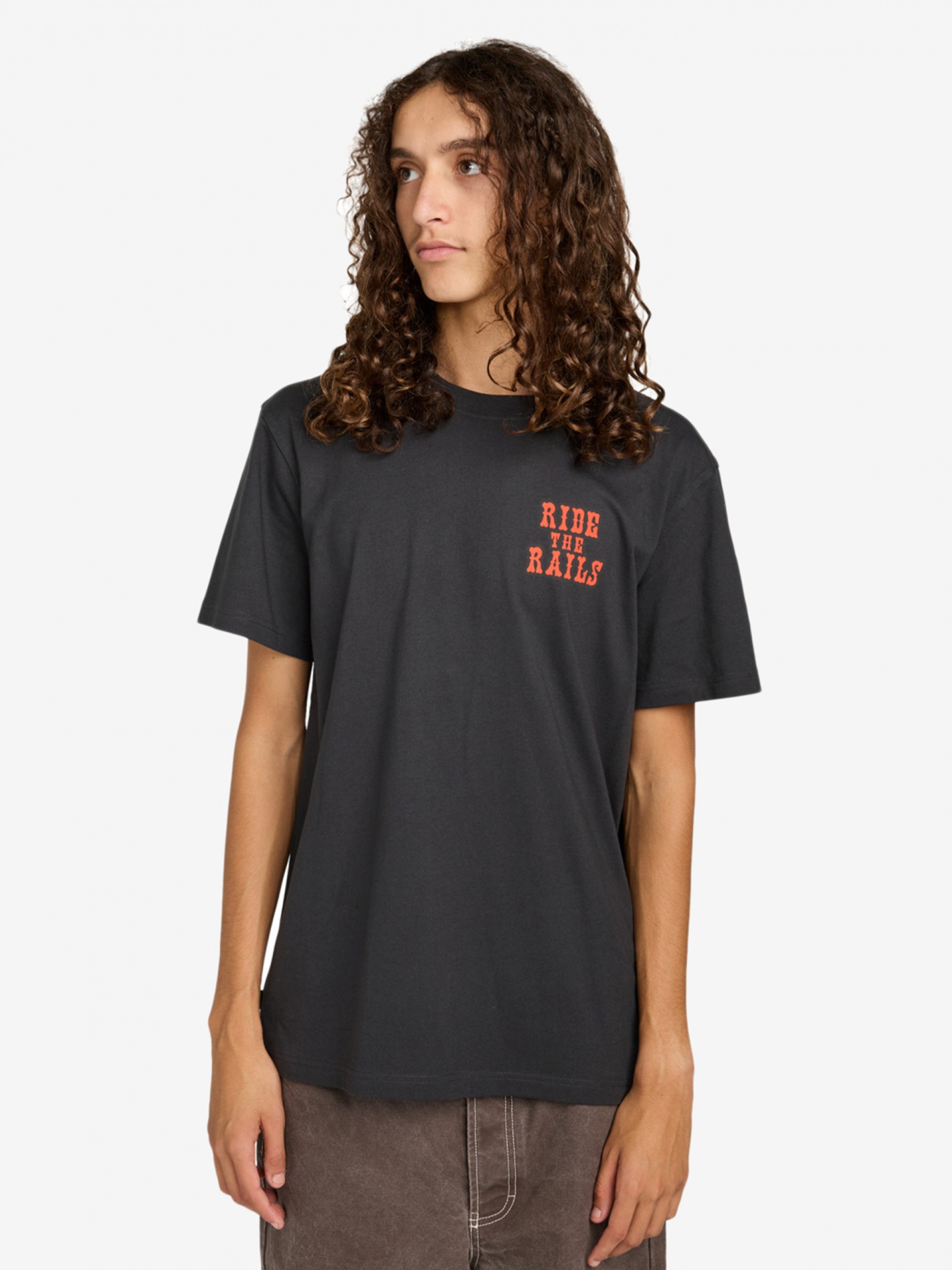 Camiseta Element Timber Guard Dogs Gris