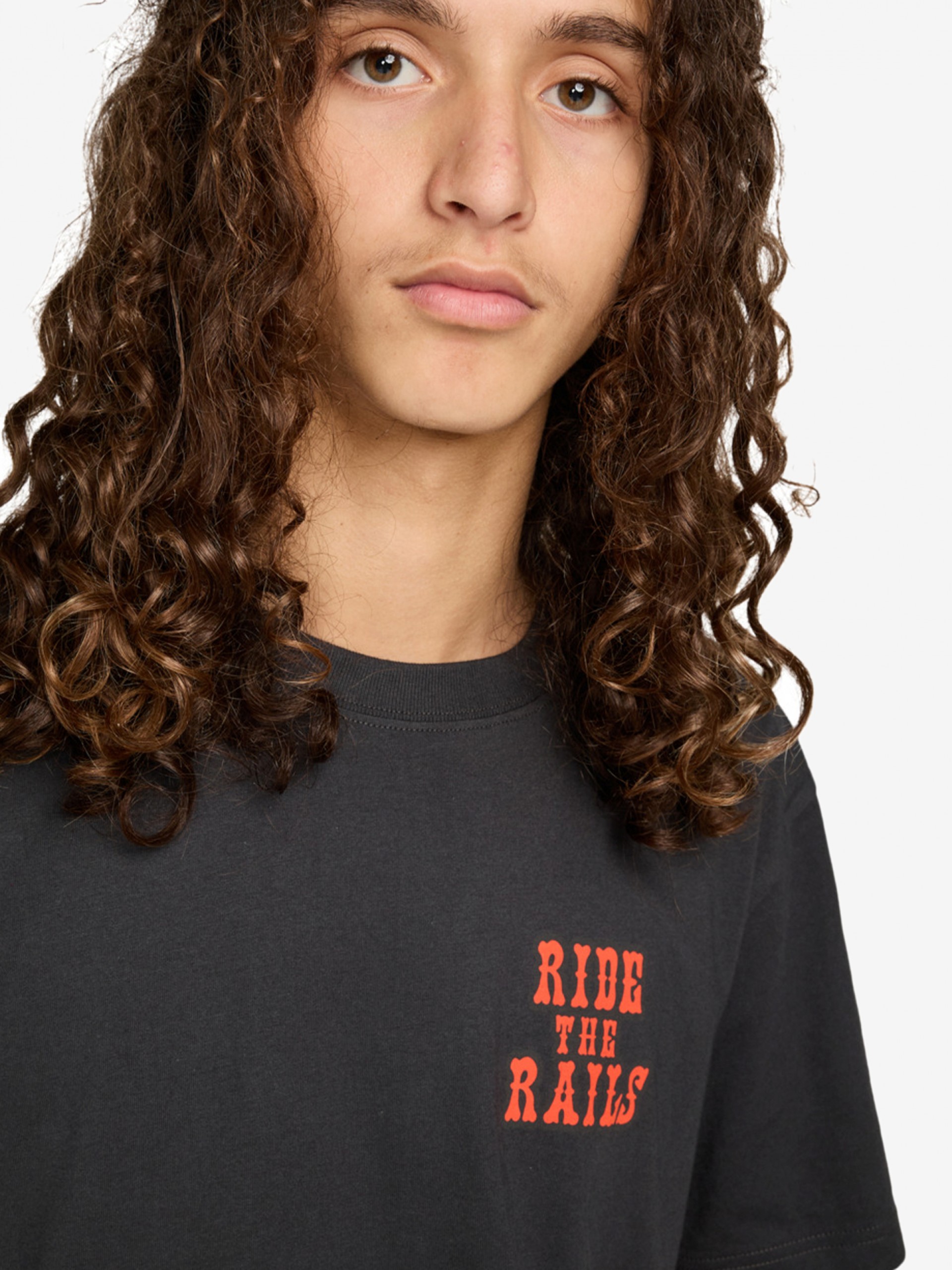 Element Timber Guard Dogs Grey T-shirt