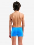Arena Logo Kids Blue Swimming Shorts