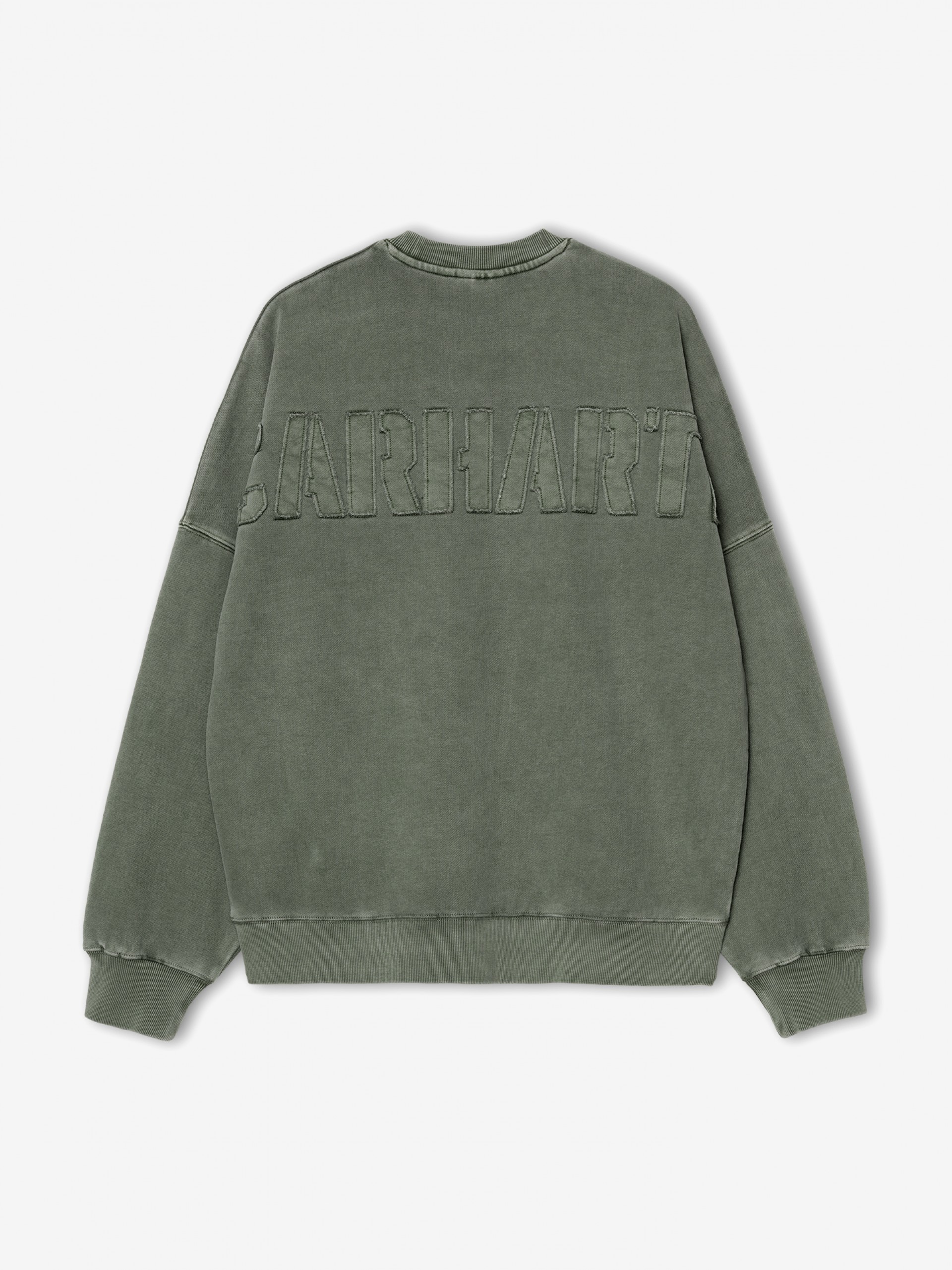 Sudadera Carhartt WIP RGGD Verde
