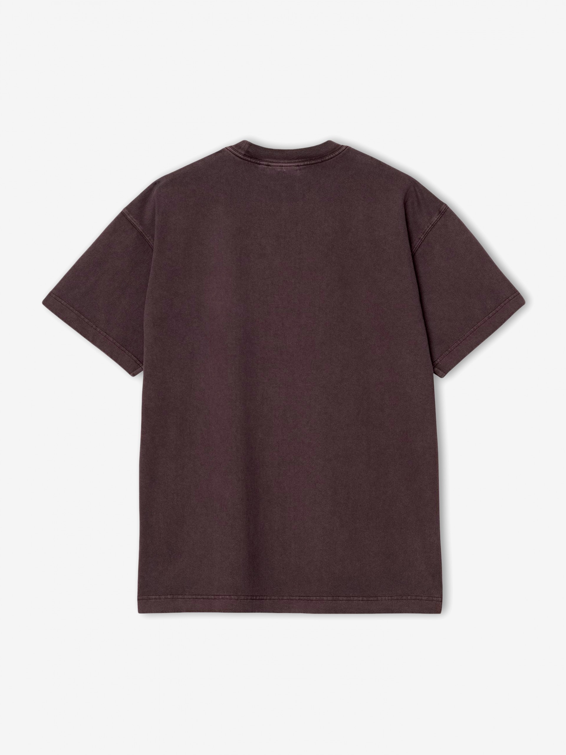 T-shirt Carhartt WIP Vista Castanha