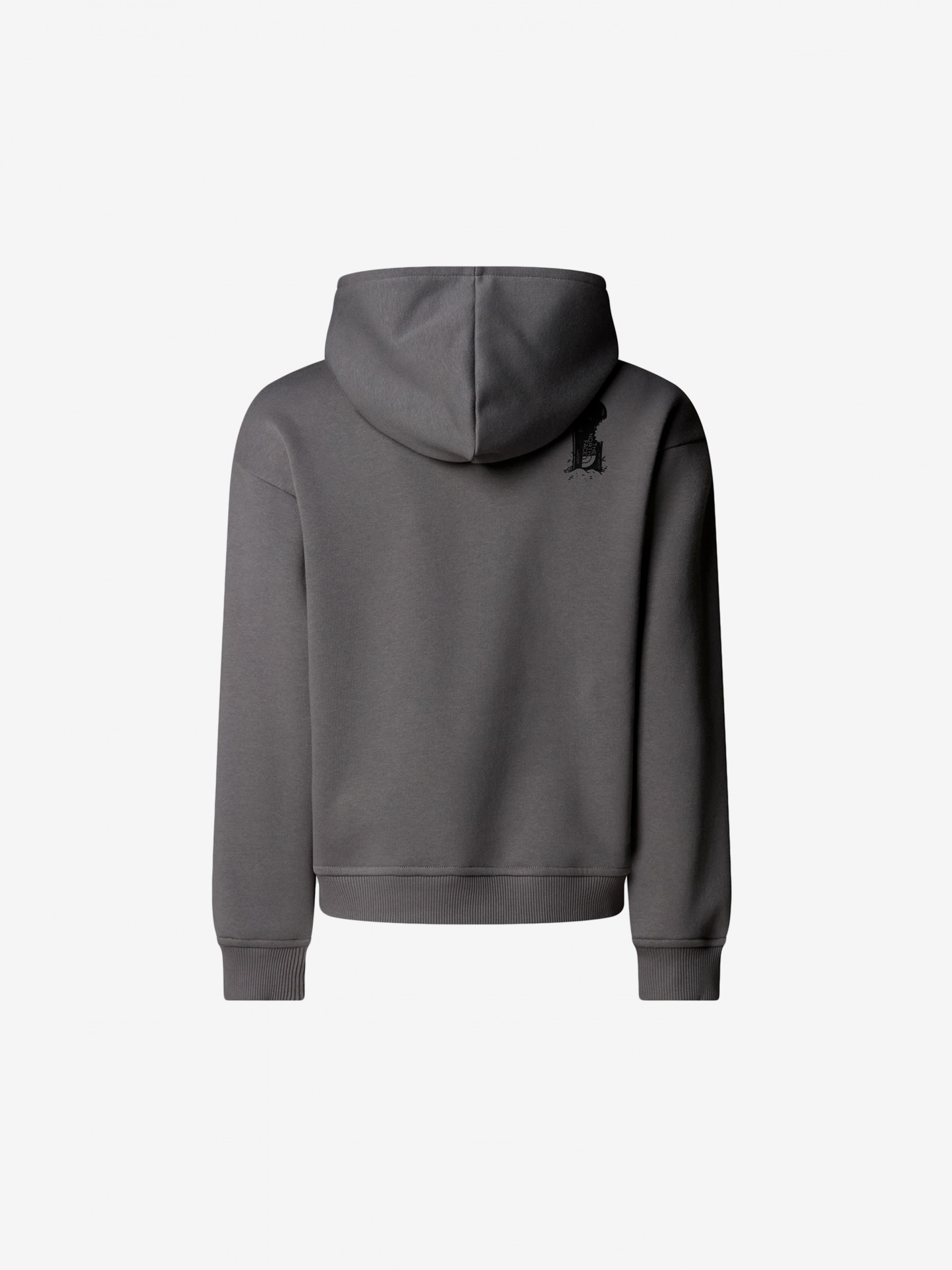 The North Face Sports Oversized Graphic Grey Kids Hoodie